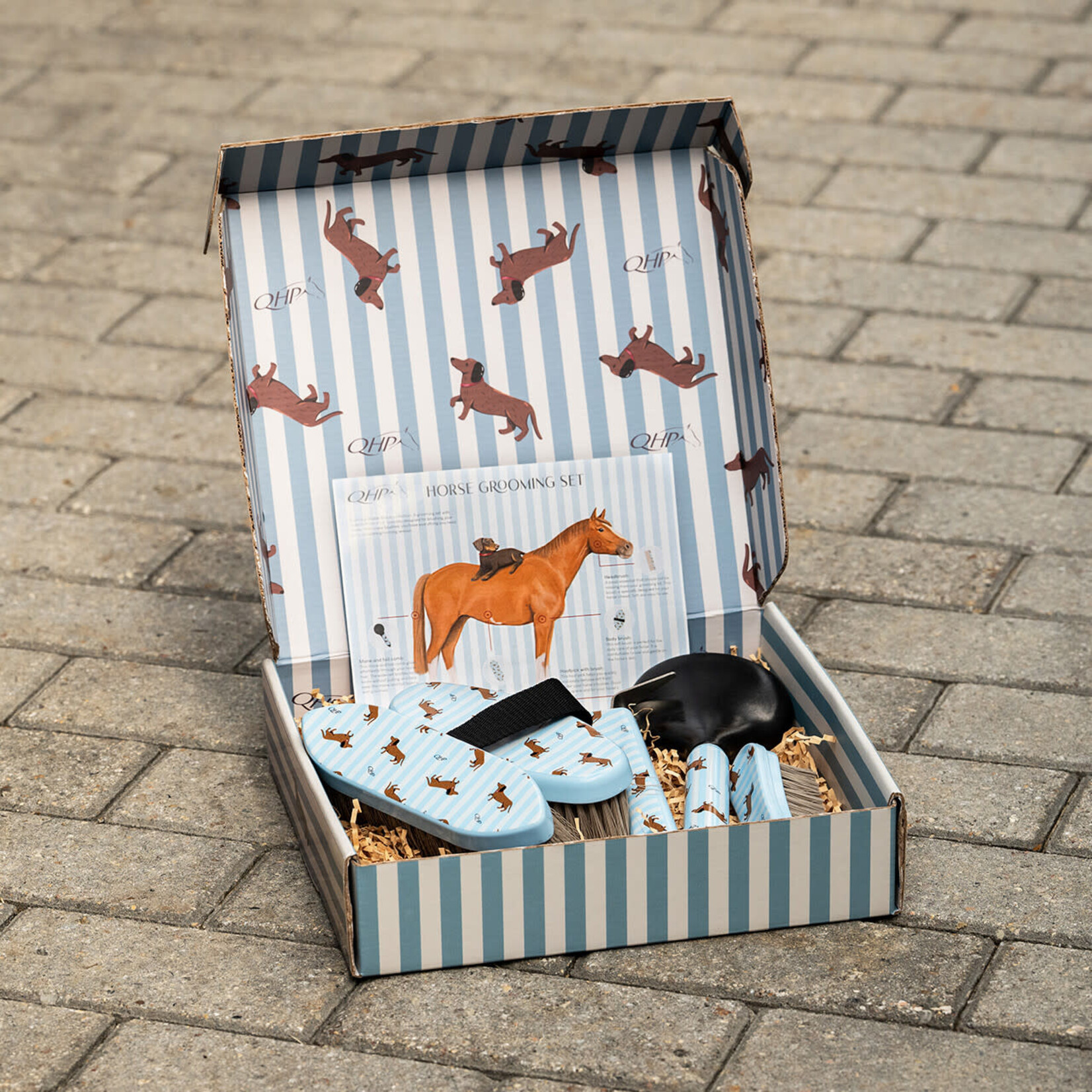 QHP QHP Borstelset Stable Buddy Dachshund