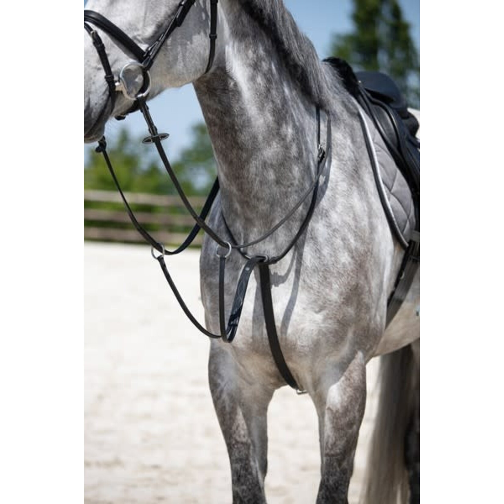 HFI HFI Martingaal met Rubberstop