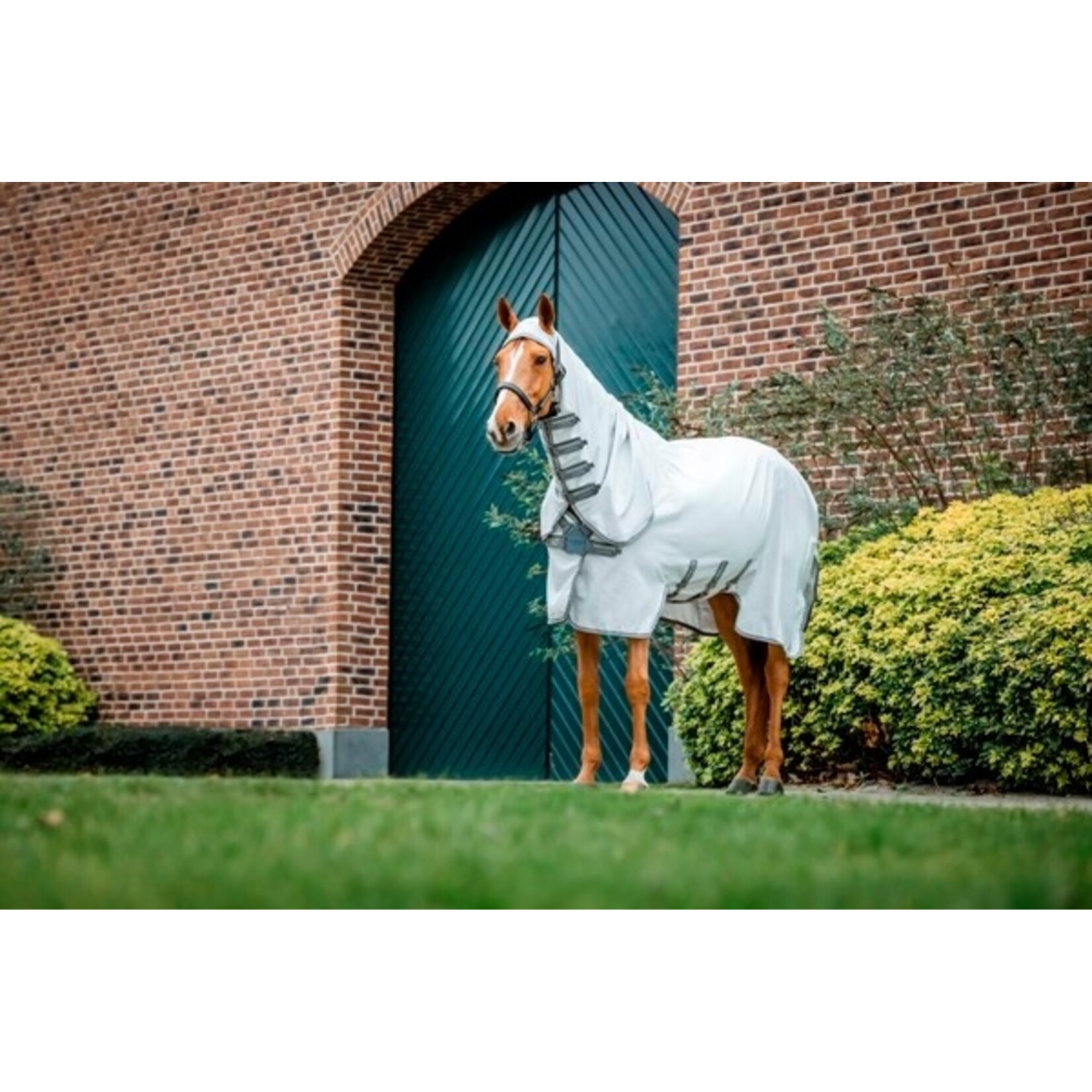 Horseware Horseware Amigo Ripstop Hoody Eczeemdeken