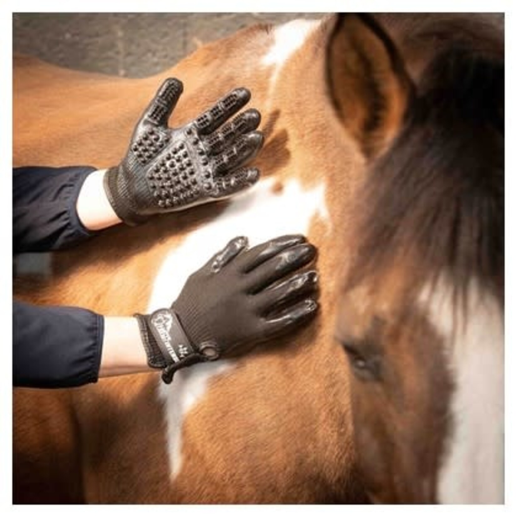 Harry's Horse Harry's Horse Poetshandschoen Intense