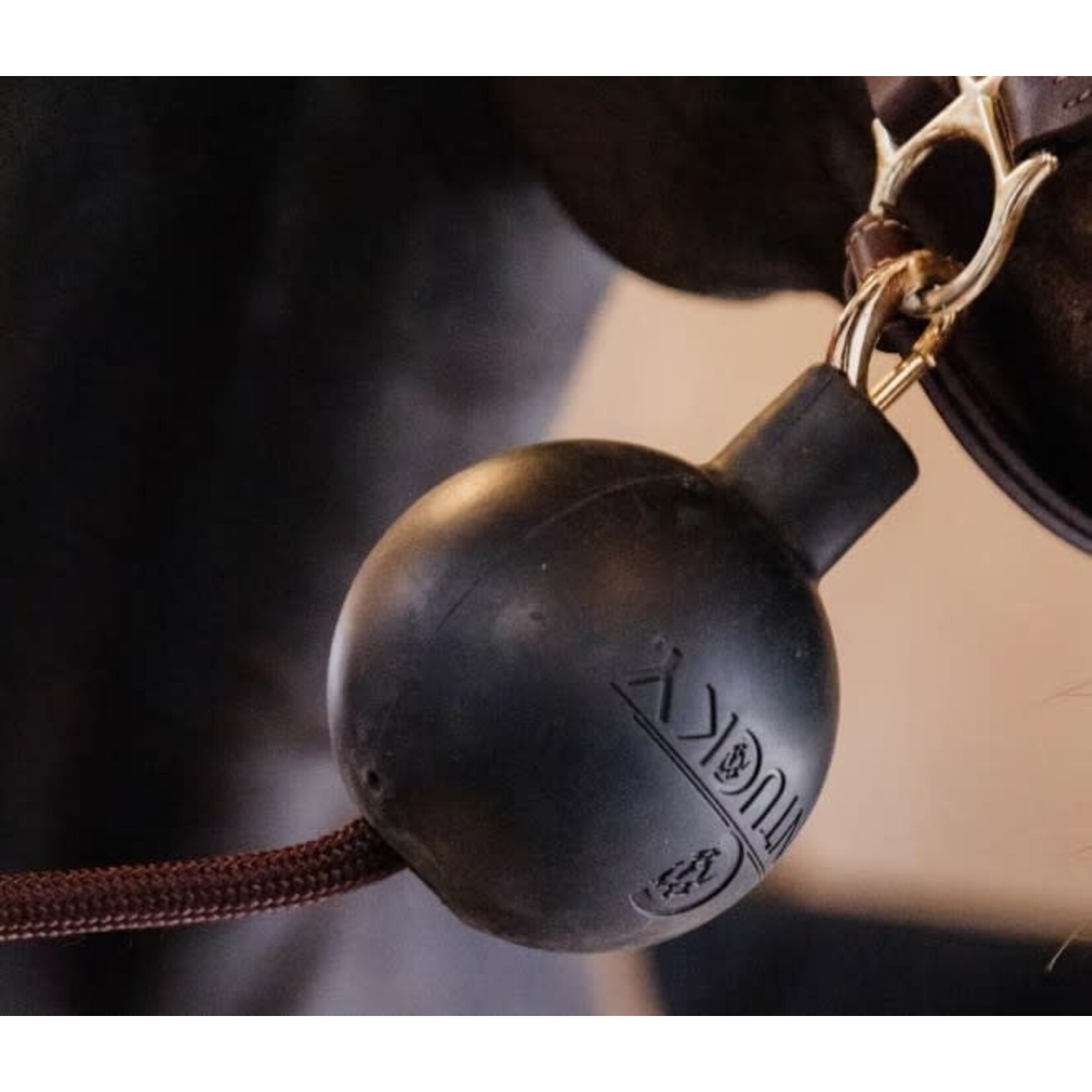 Kentucky Kentucky Beschermingsbal