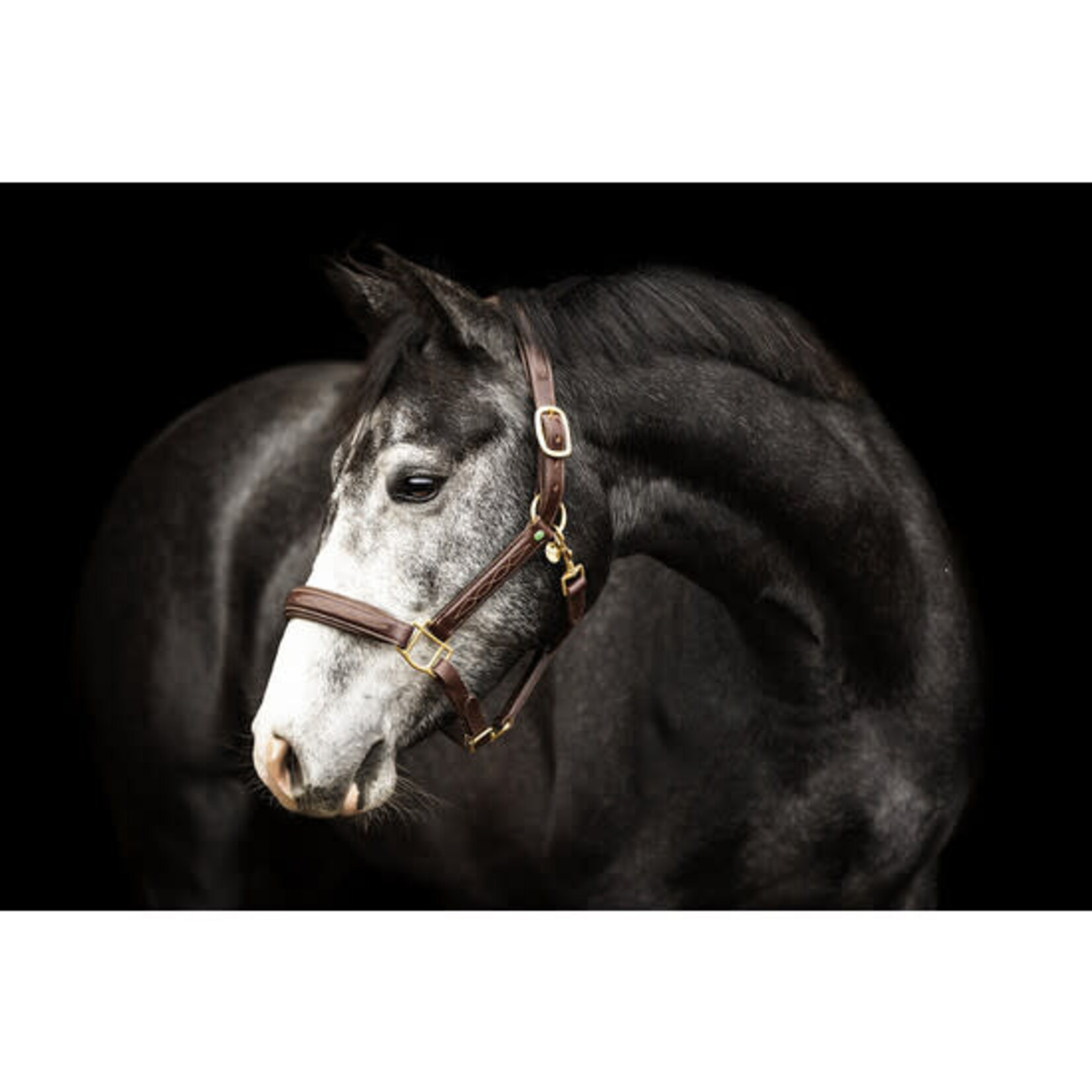 LJ LJ Halster leder Fancy bruin