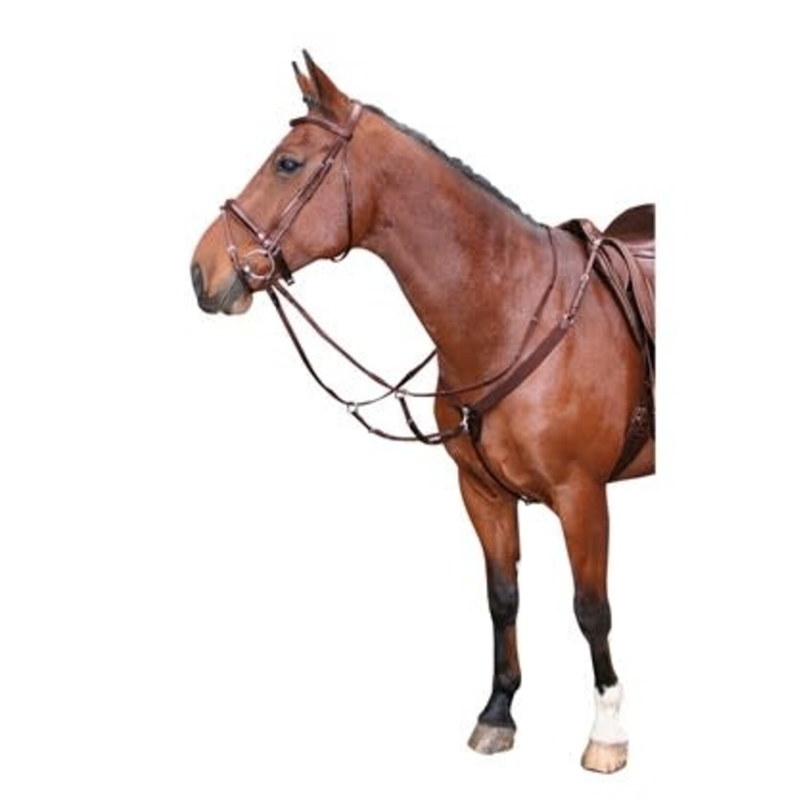 Harry's Horse Harry's Horse Elastisch Voortuig Bruin