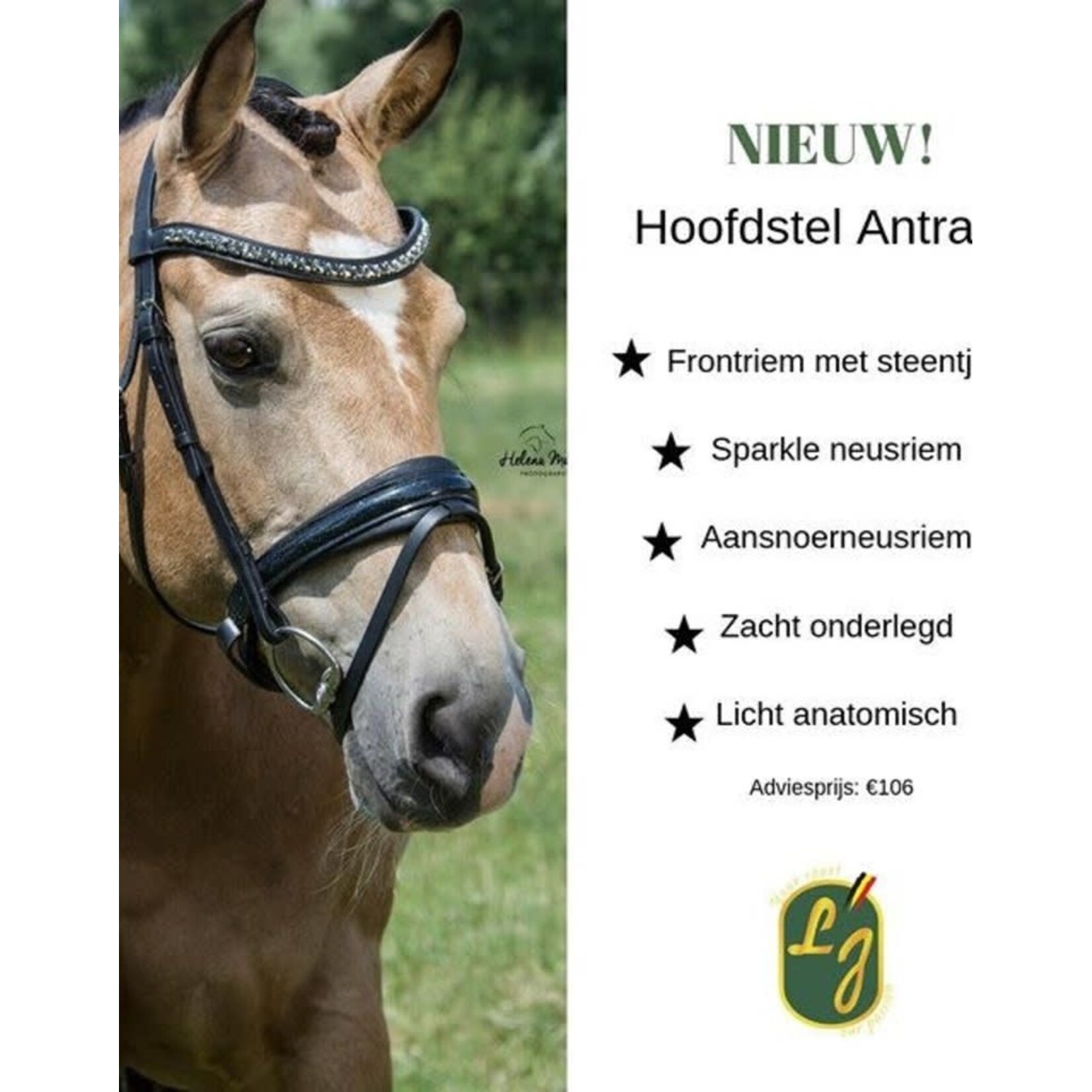 LJ LJ Hoofdstel Antrado Lak Aansnoer Neusr. Zwart