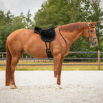 QHP Qhp Bareback pad super soft Zwart/Zwart Full