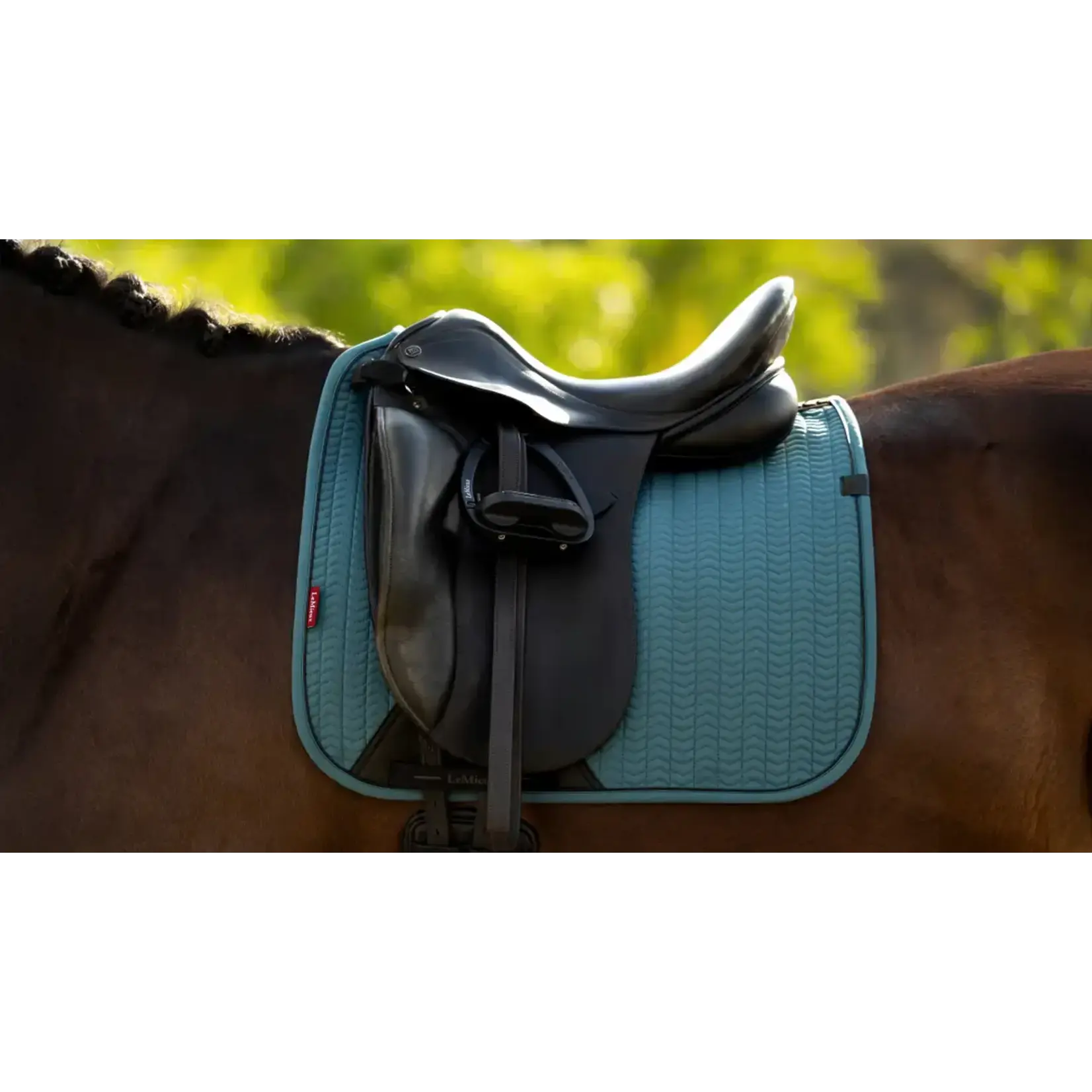 Lemieux Zadeldoek Essence Square