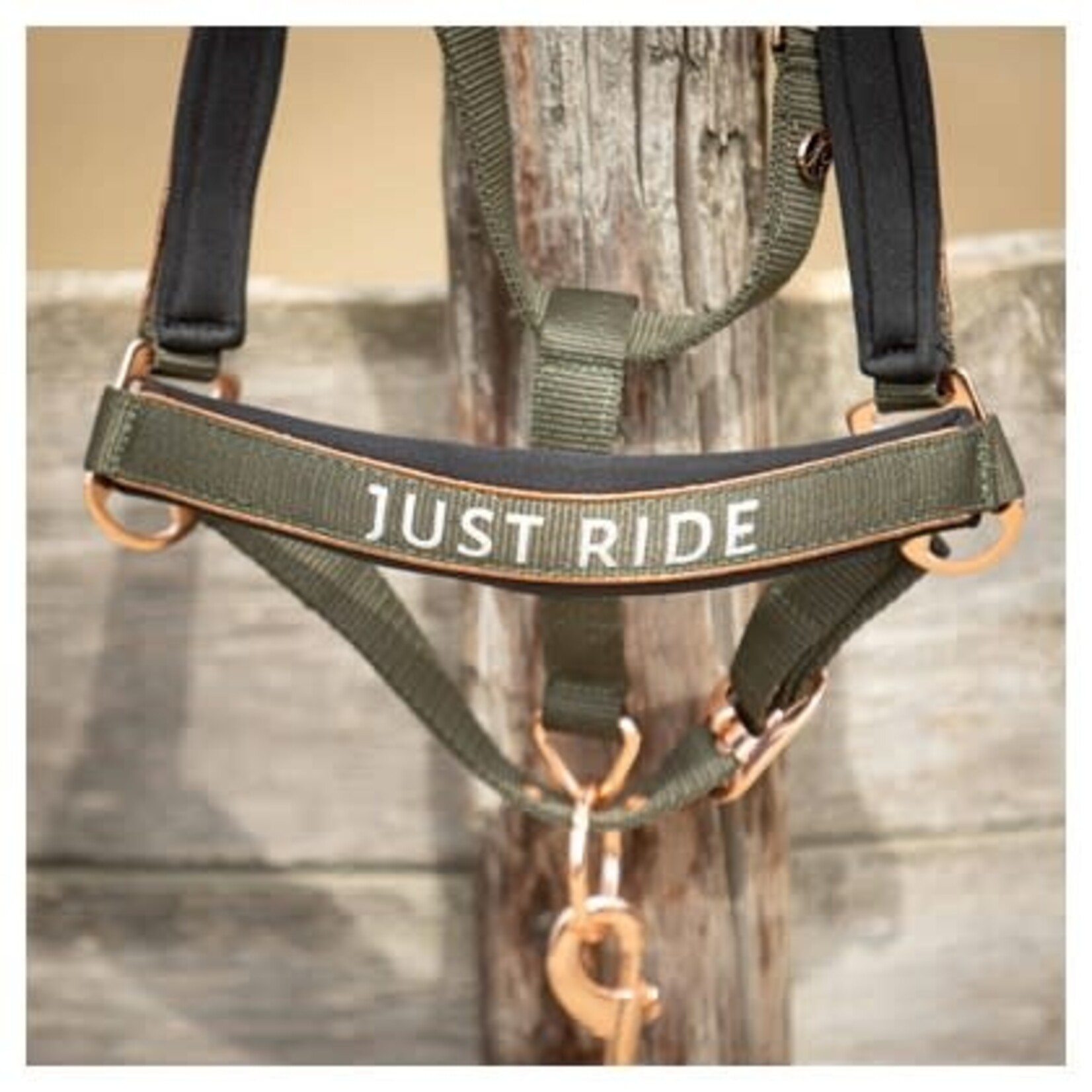 Harry's Horse Harry's Horse Halsterset Just Ride Chique