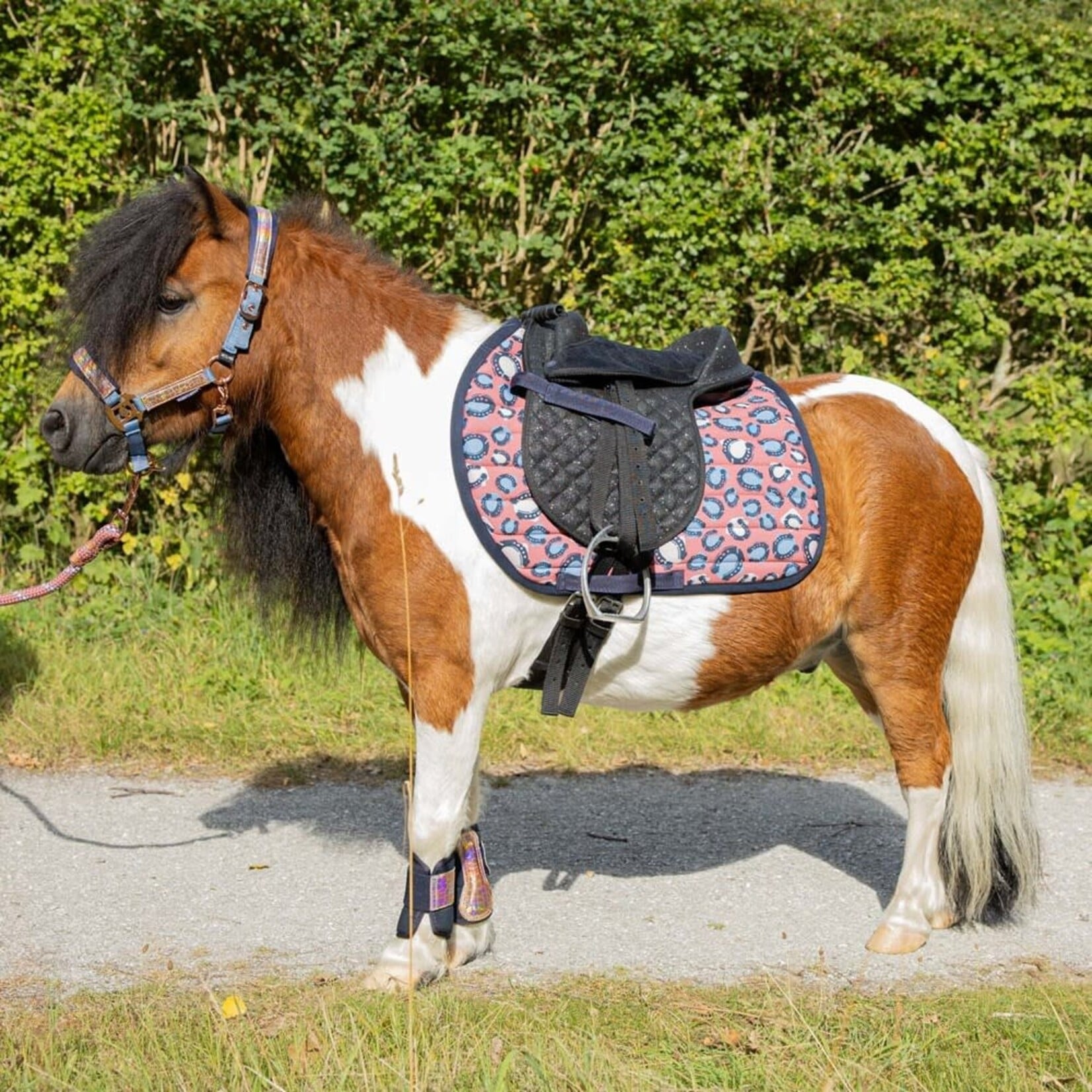 Harry's Horse Harry's Horse Zadeldoek Diva Mauvewood Shet