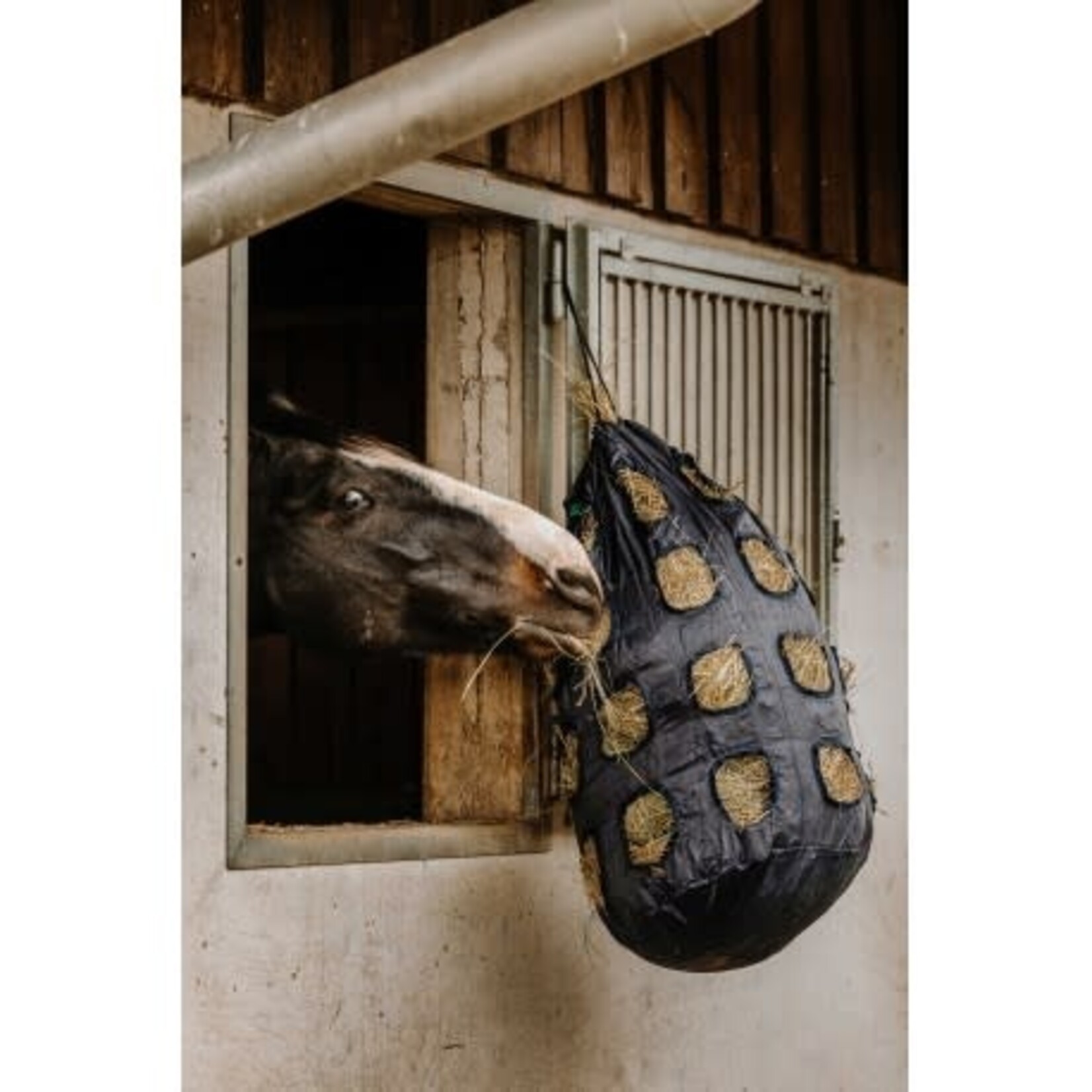 Hippotonic Hippotonic Hooizak met Gaten Navy