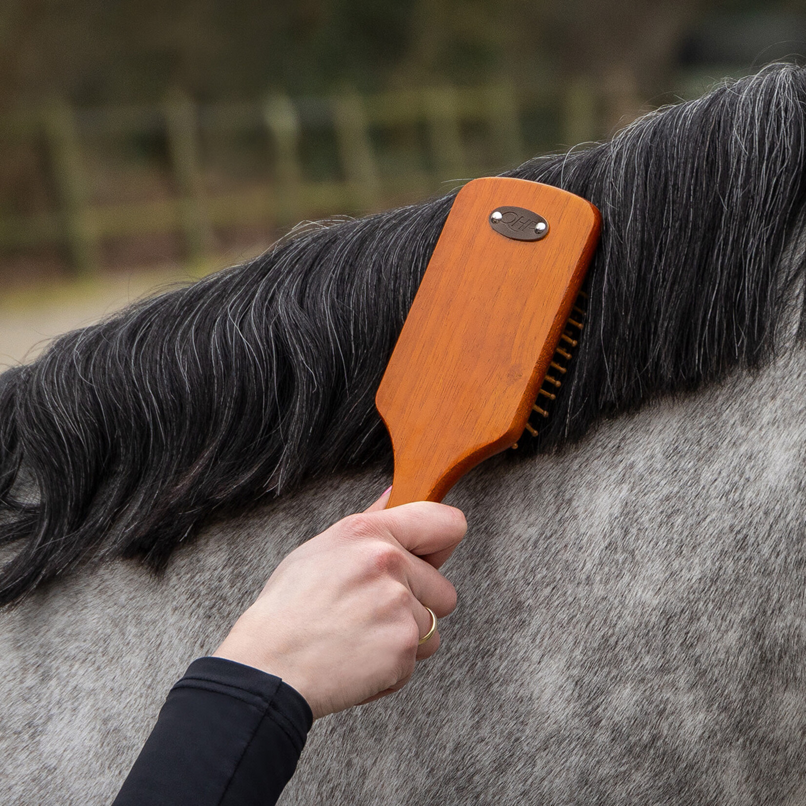 QHP QHP Borstelset Royal