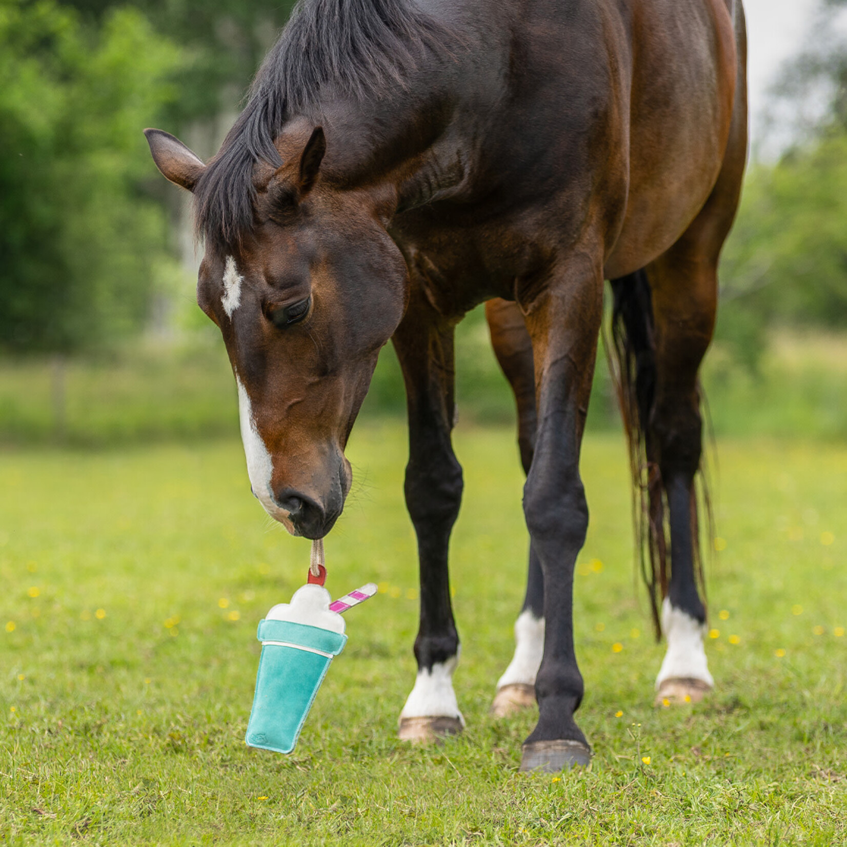 QHP QHP Snackcounter Paardenspeelgoed