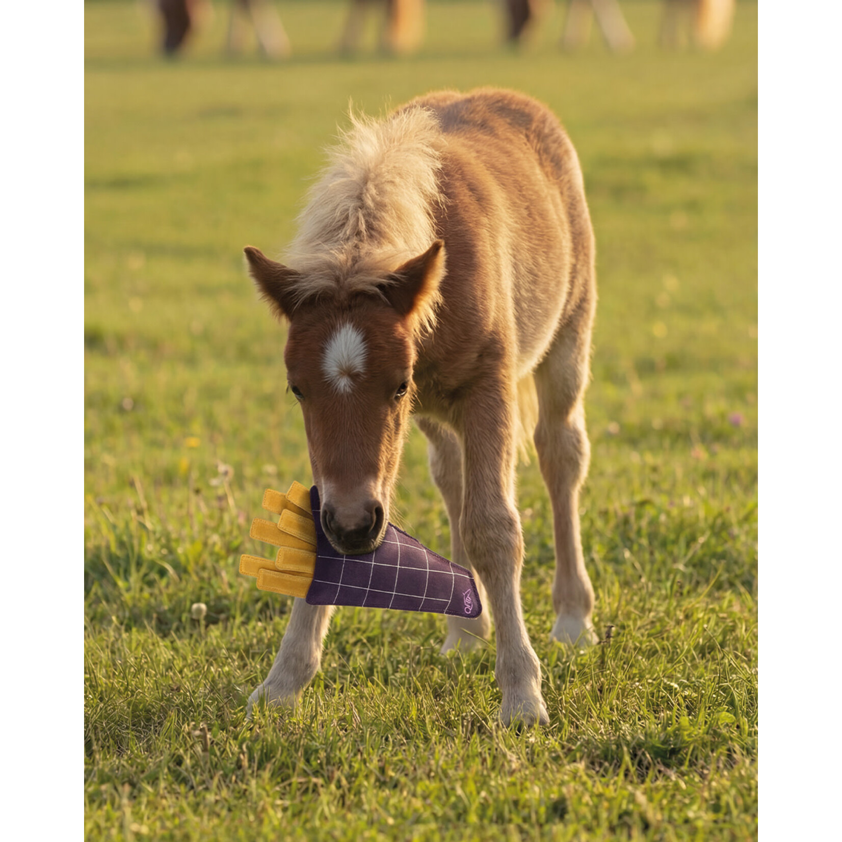 QHP QHP Snackcounter Paardenspeelgoed
