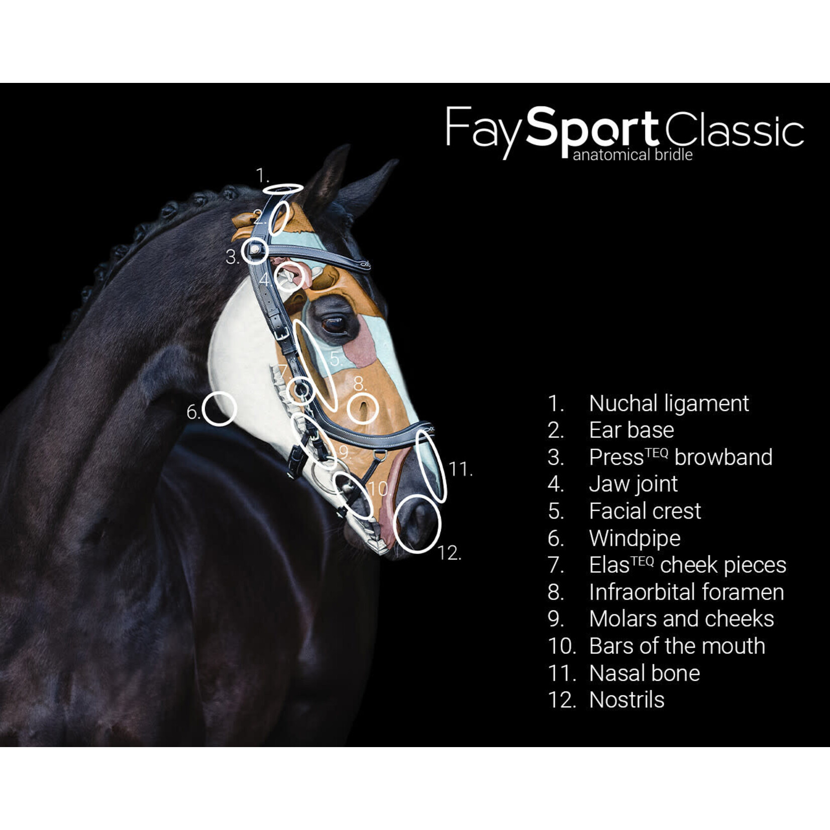 Presteq Presteq Hoofdstel Fay Sport Classic