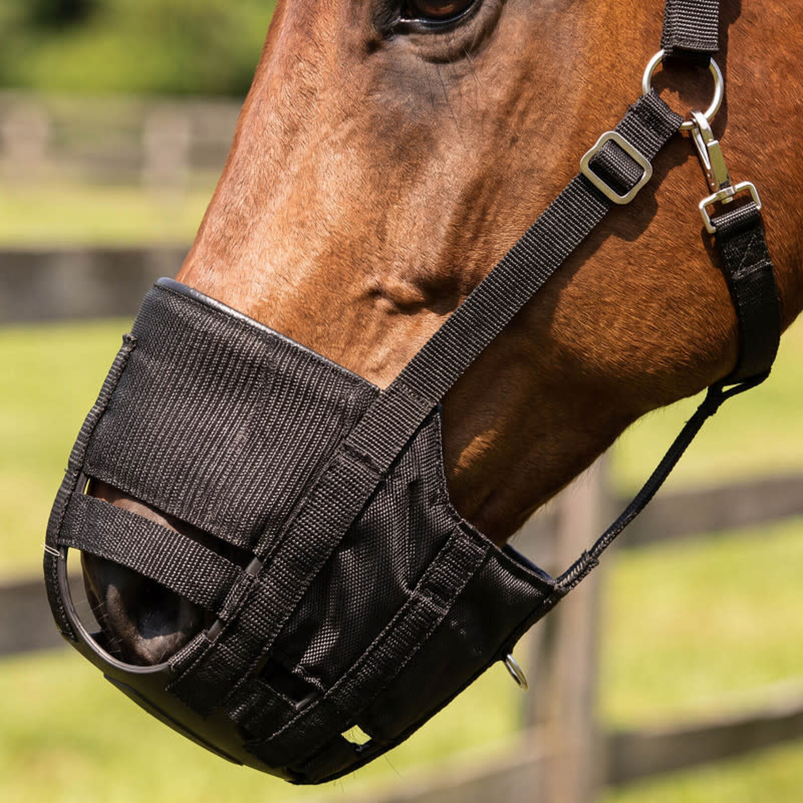 Harry's Horse HHGraasmasker Anatomisch met Padding