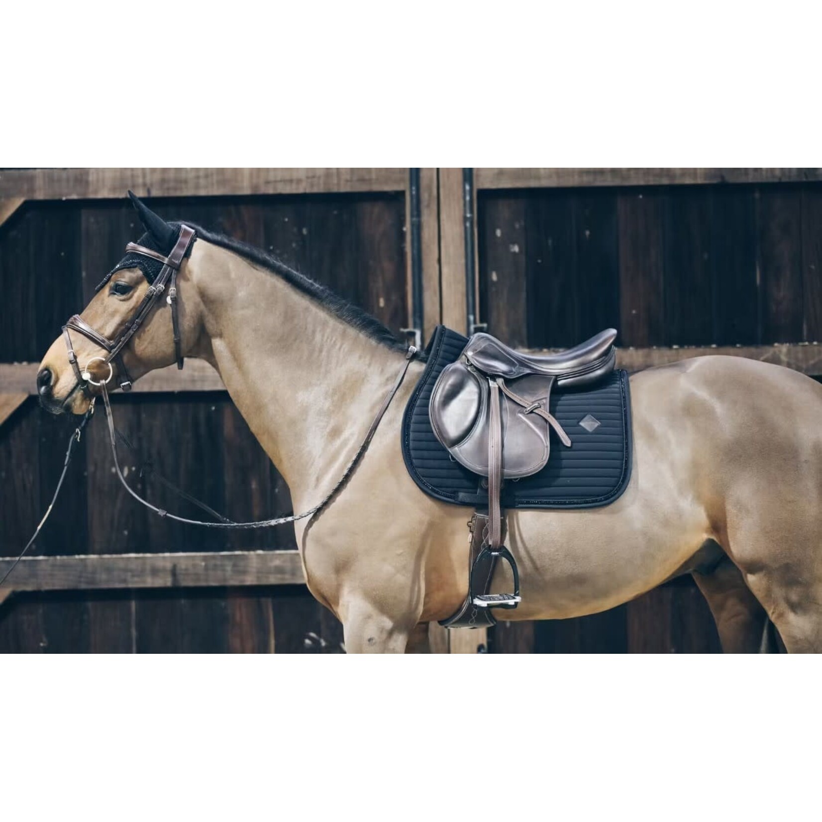 Kentucky Kentucky Zadeldek Pearls