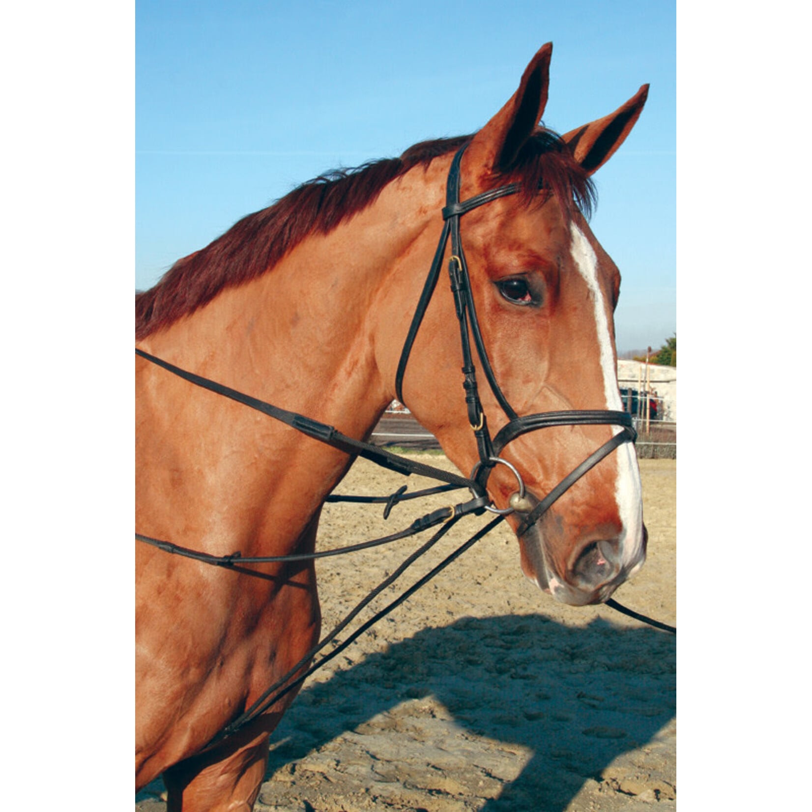 LJ LJ Slofteugel leder met koord zwart