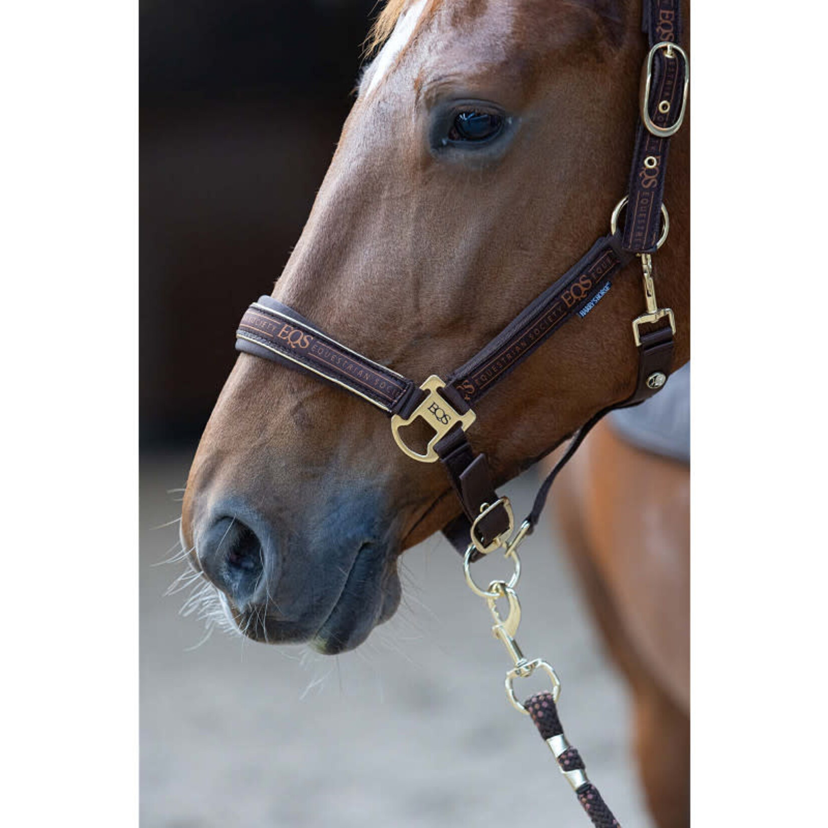 Harry's Horse Harry's Horse Halsterset EQS Bracken