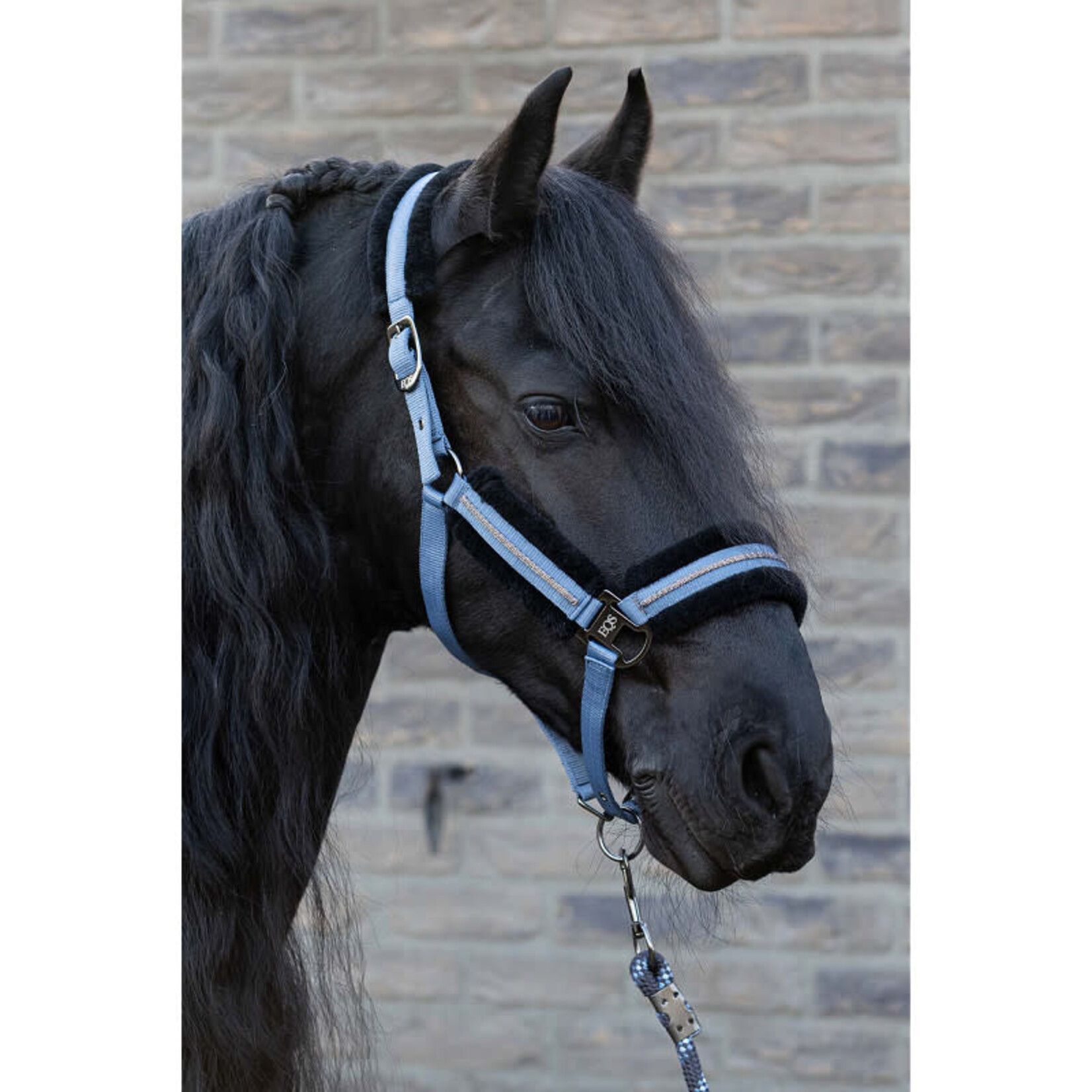 Harry's Horse Harry's Horse Halsterset Soft