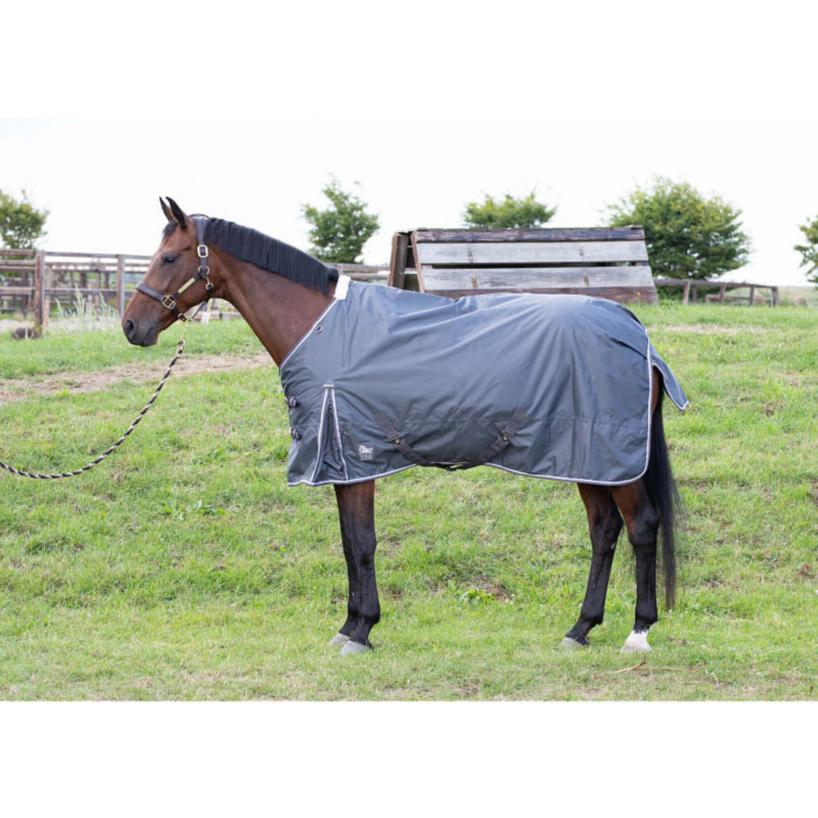 Harry's Horse Harry Horse's Regendeken Thor Ebony 100 Gram