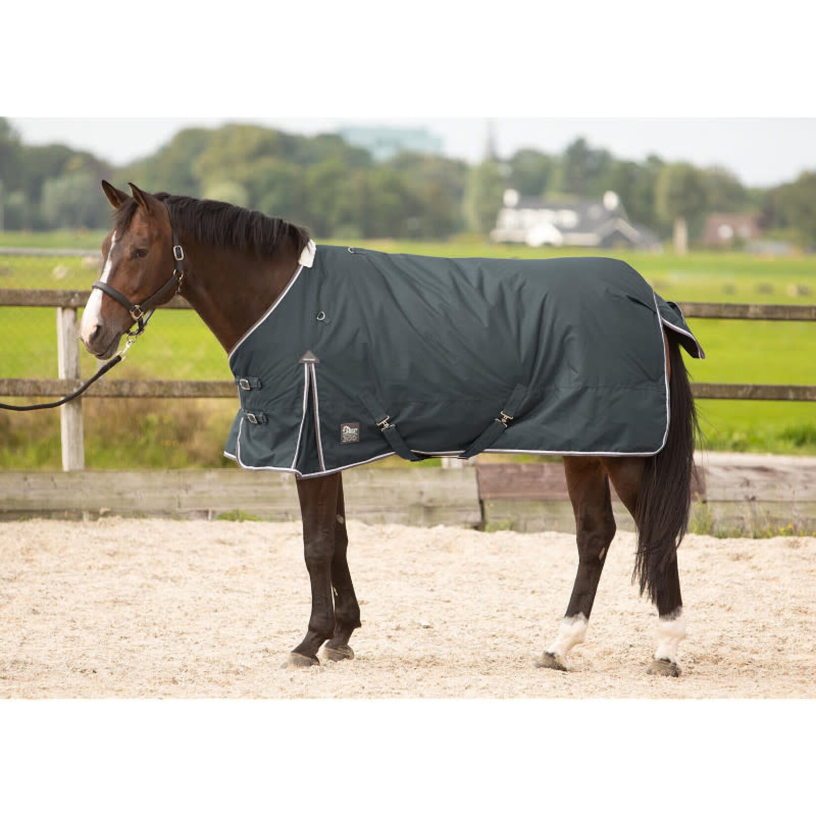 Harry's Horse Harry's Horse Regendeken Thor Ebony 300Gram