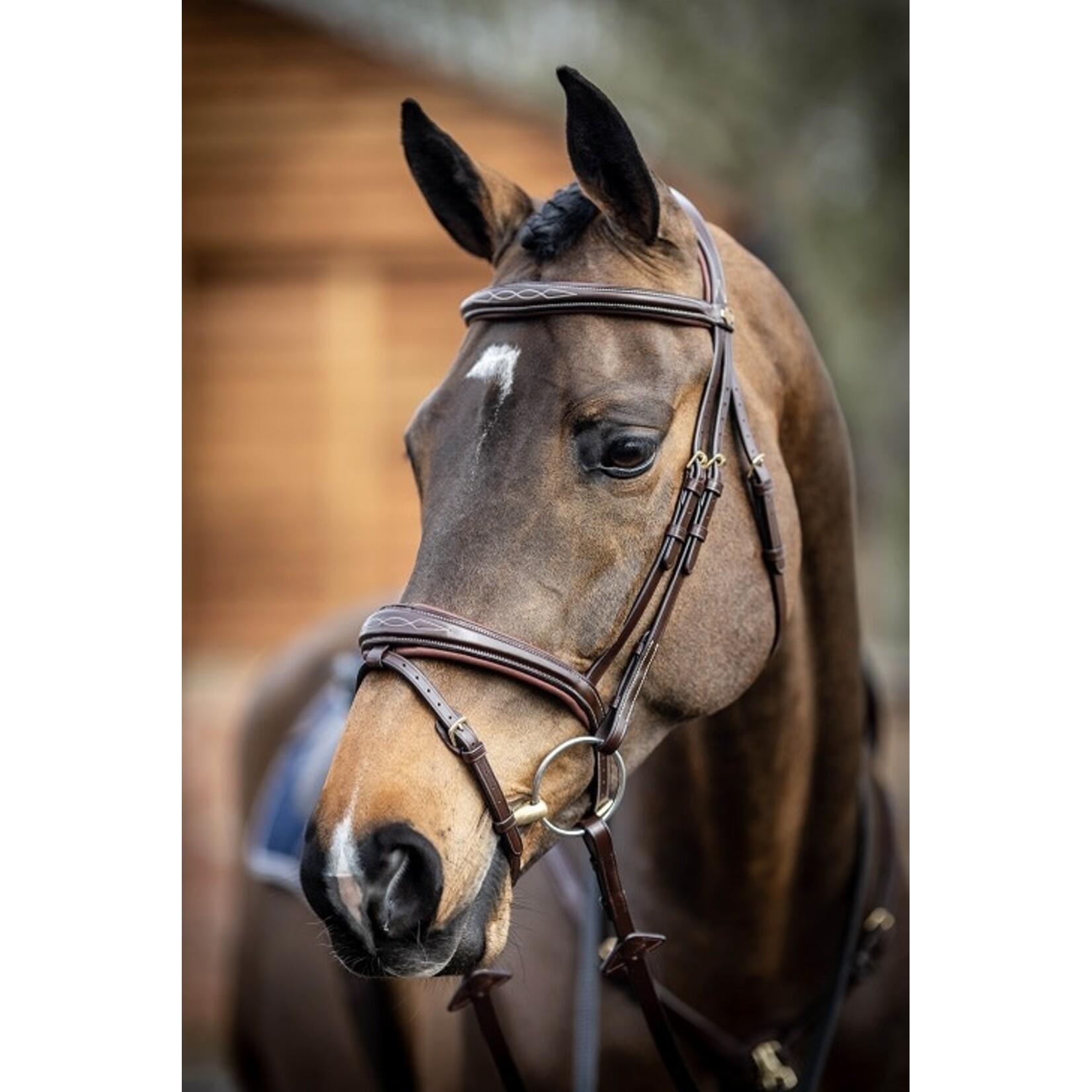 LeMieux LeMieux hoofdstel Kudos Competition Flash Bridle Havana X-Full