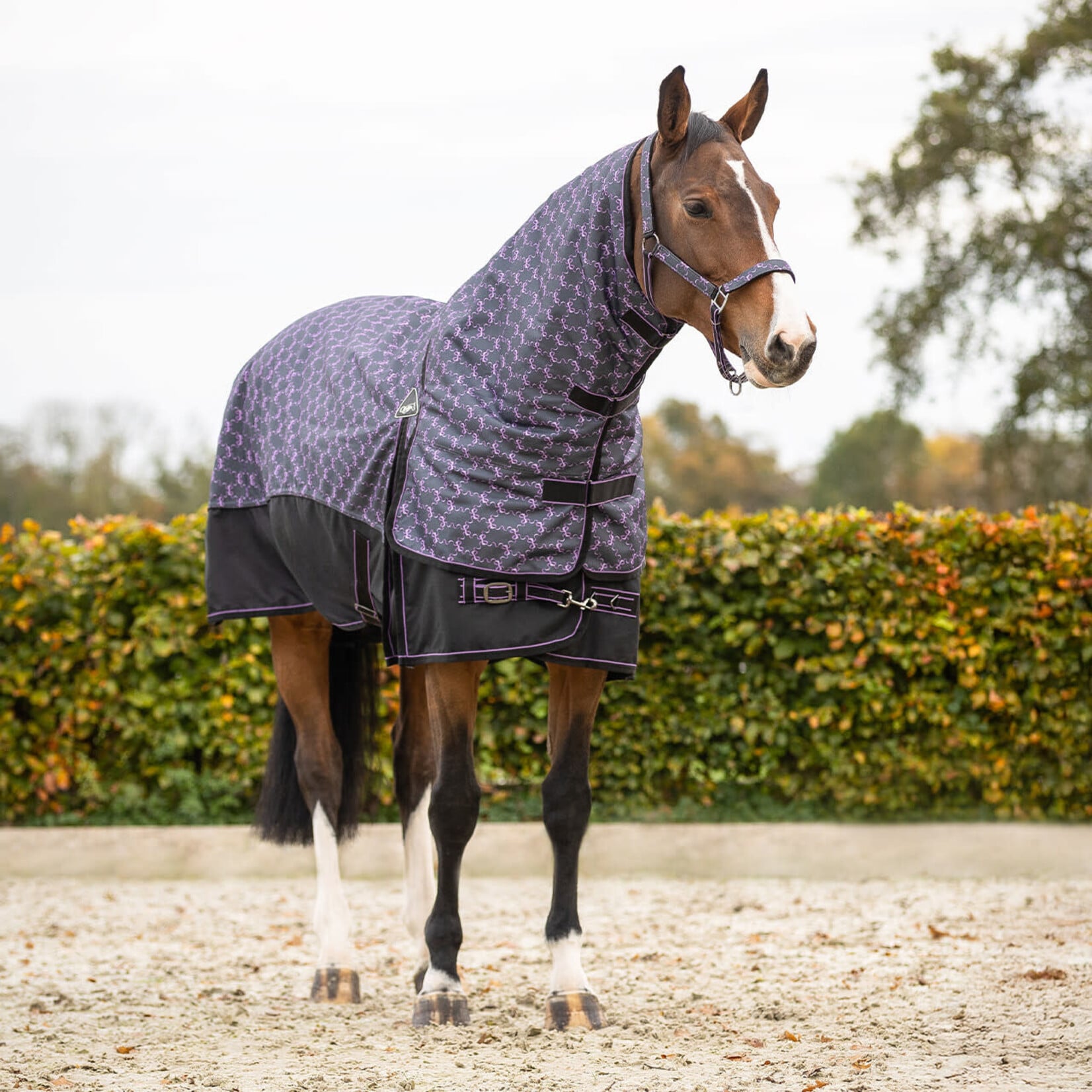 QHP Qhp Turnoutdeken 150gr Losse Hals BB