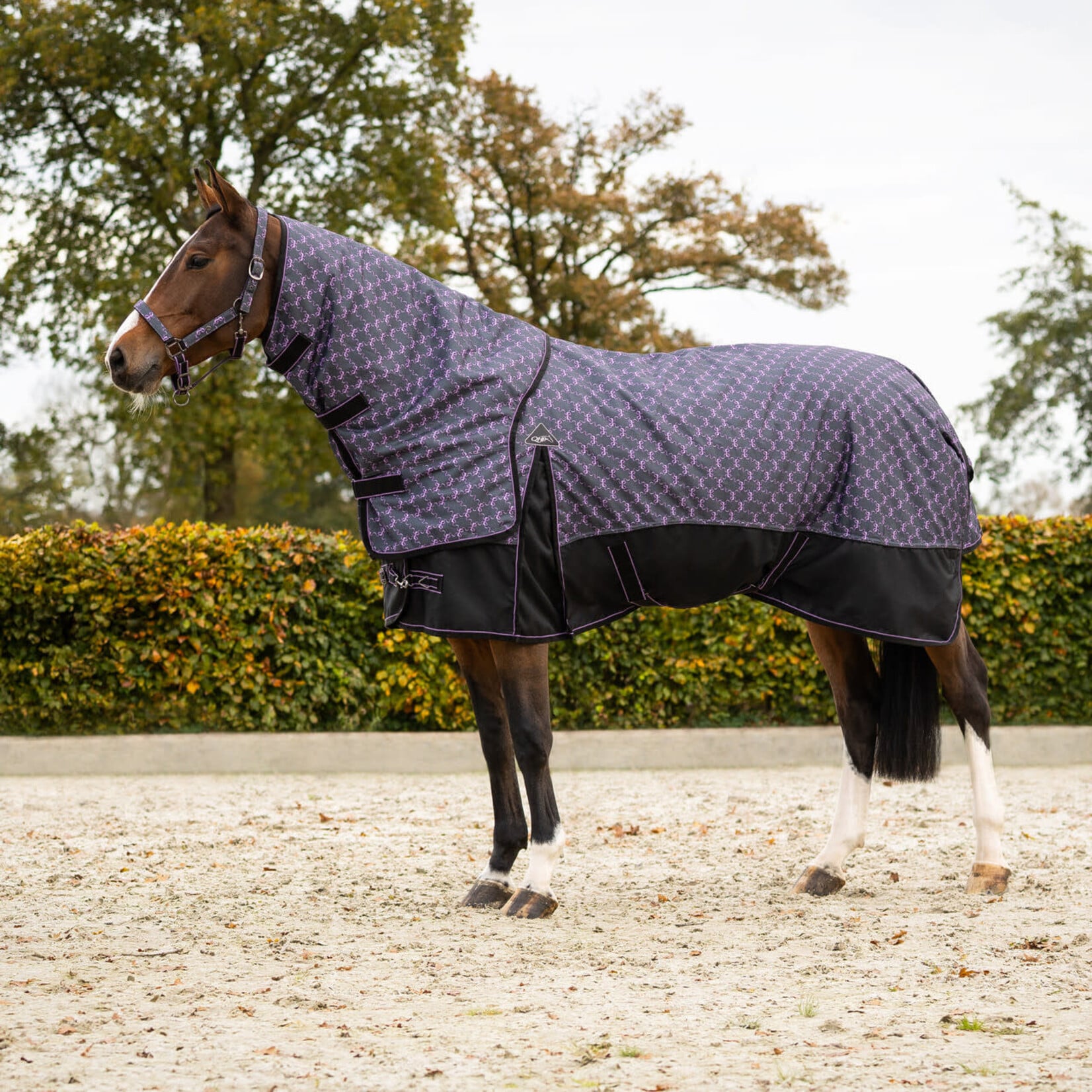QHP Qhp Turnoutdeken 150gr Losse Hals BB
