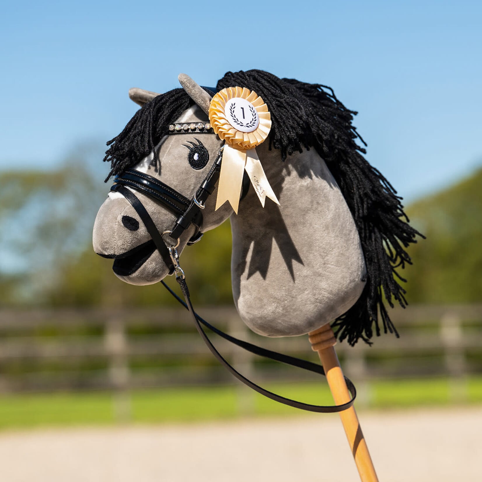 QHP Qhp Hobby horse Rozettenset 3stuks