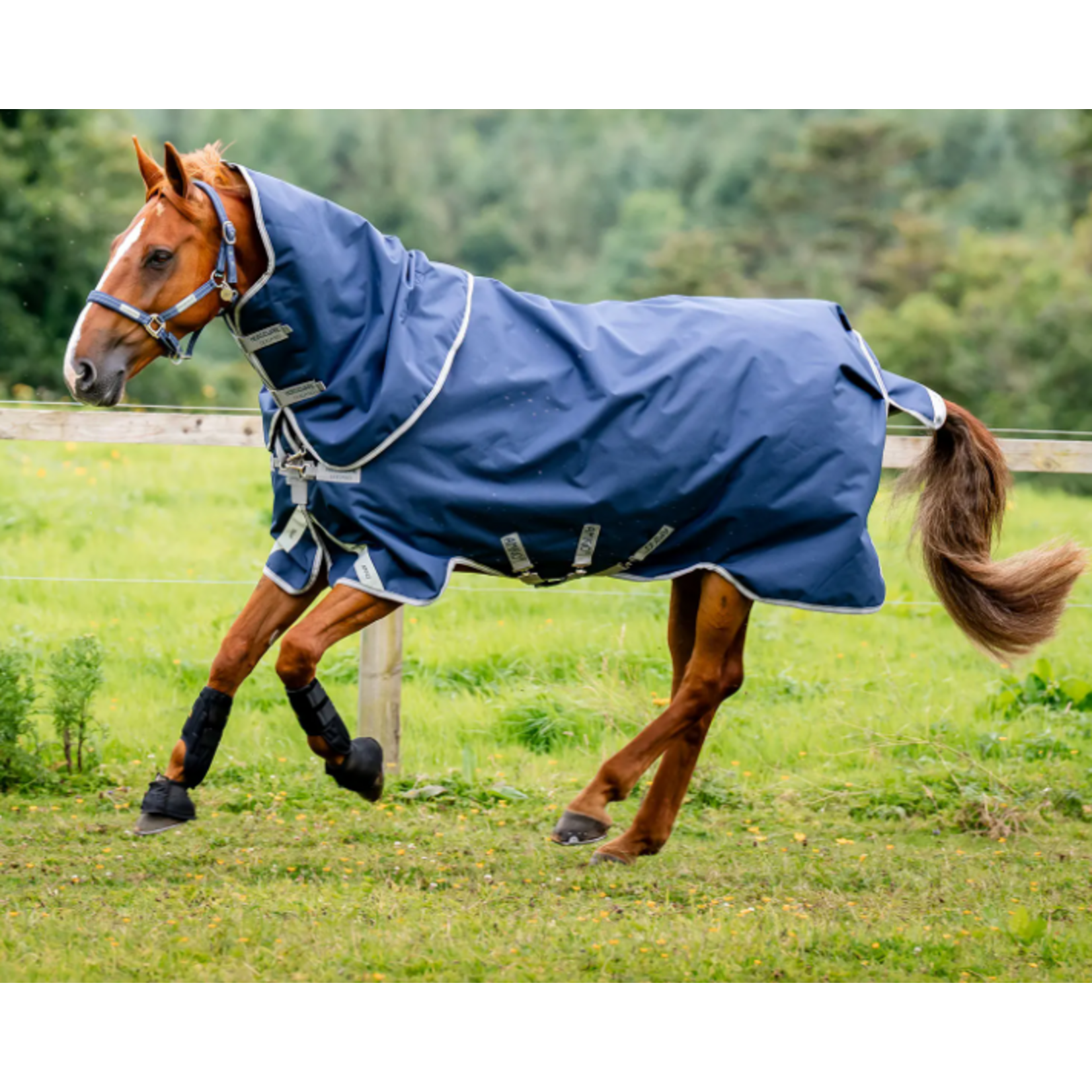 Horseware Amigo 1200D Plus Turnout 100Gr Navy/Grey