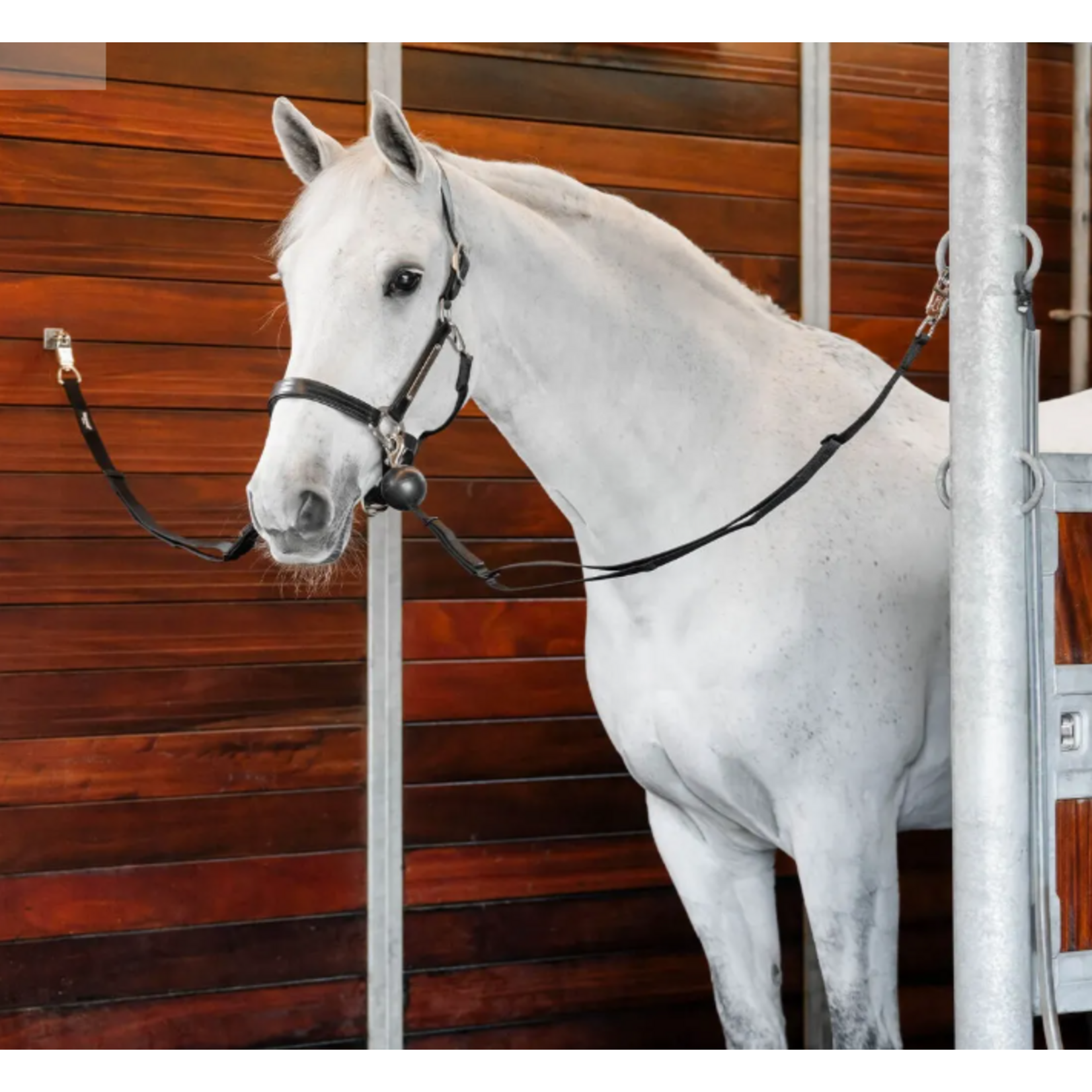 Horseware Horseware Cross Tie Safety 2 Pack