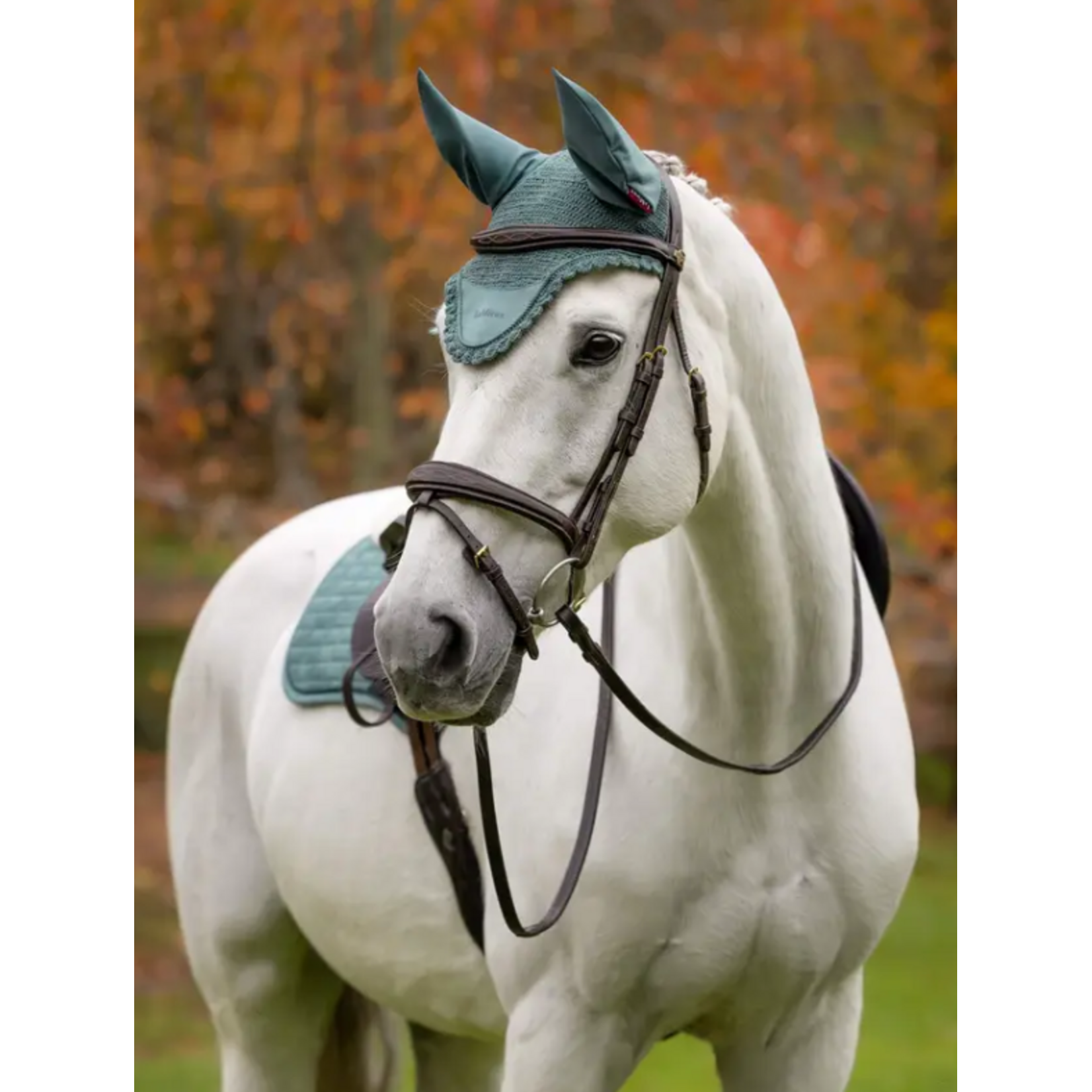 LeMieux Lemieux Oornetje Aloe M