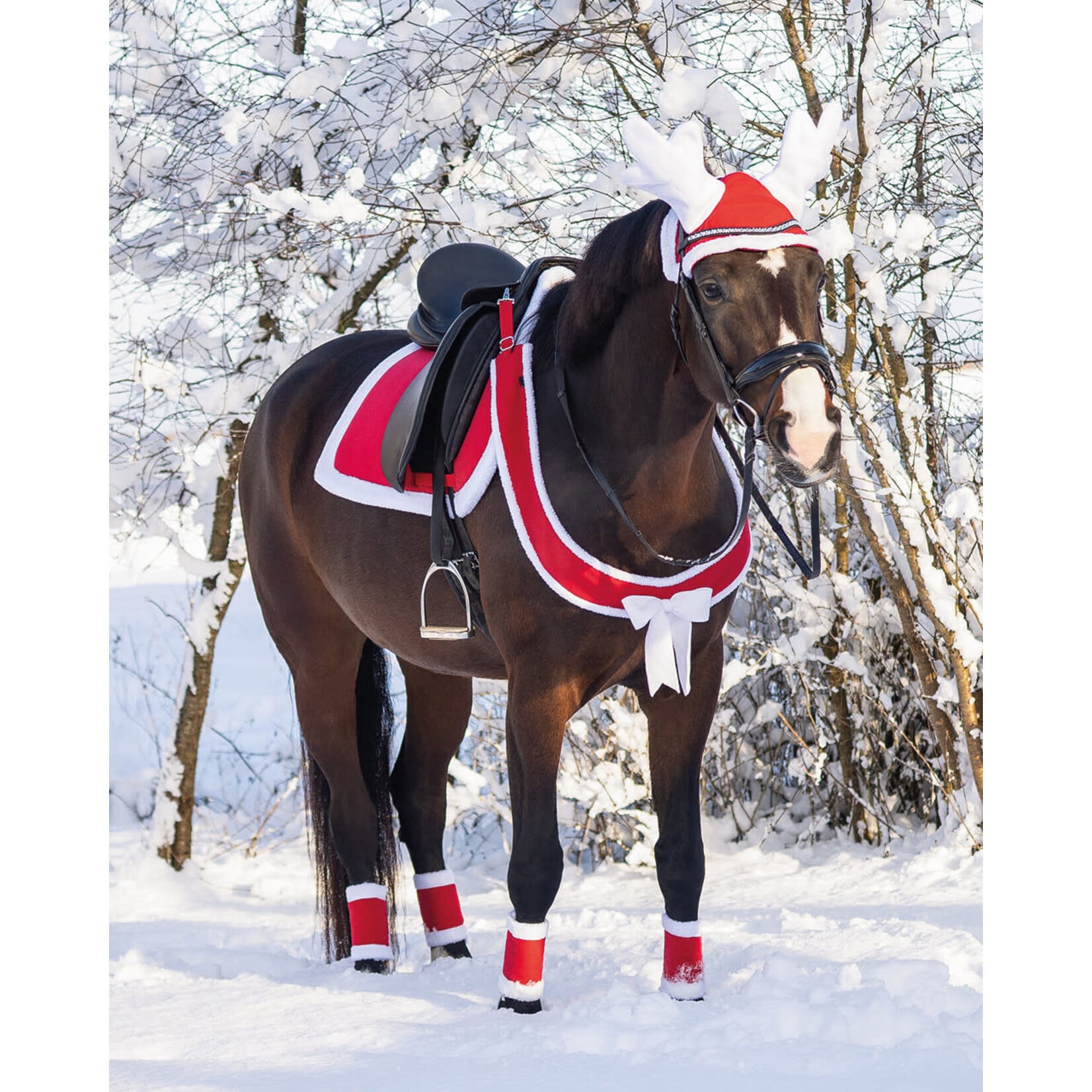 QHP Qhp Kerst Borstriem Strik