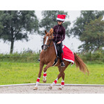 QHP Qhp Kerst Bandage Set van4