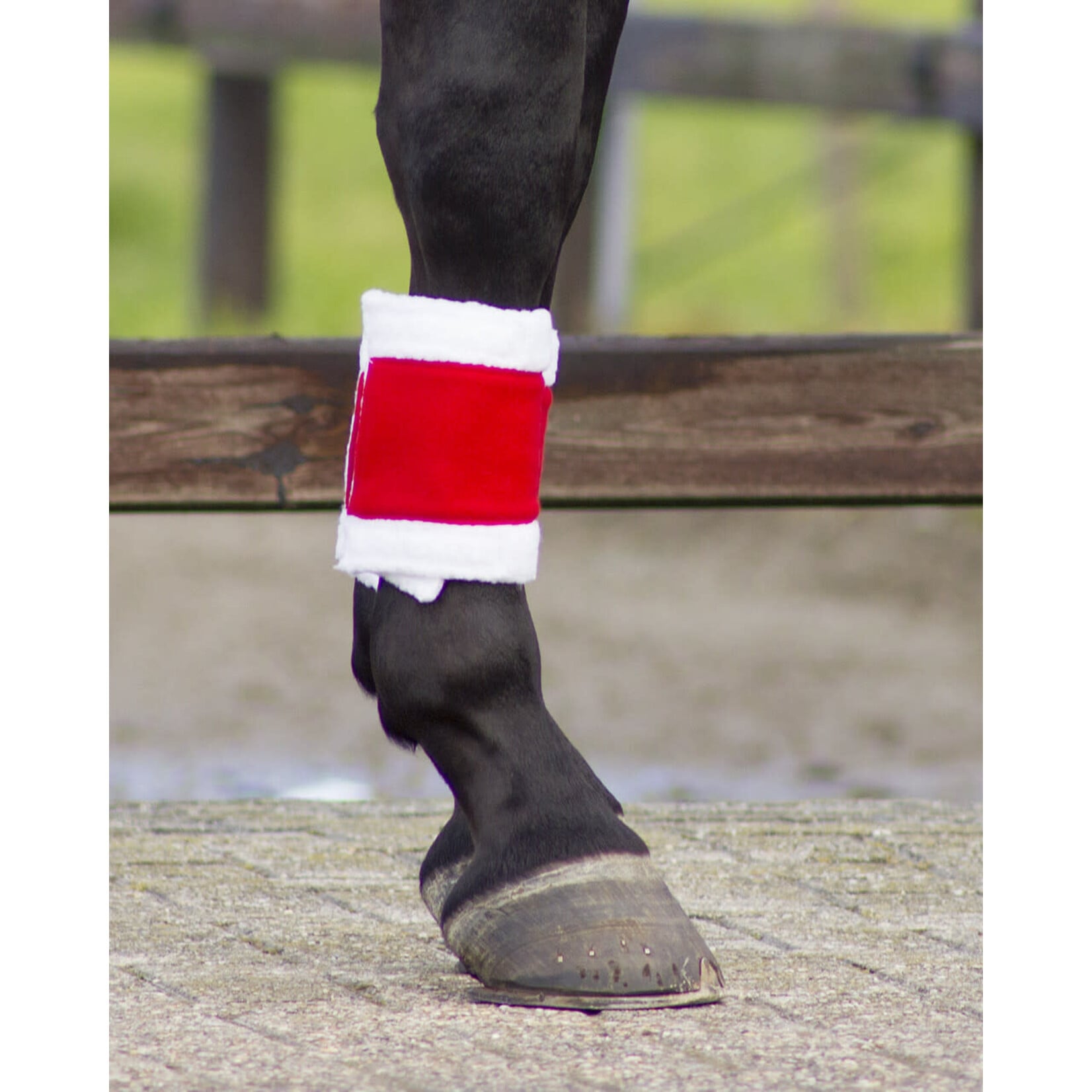 QHP Qhp Kerst Bandage Set van4
