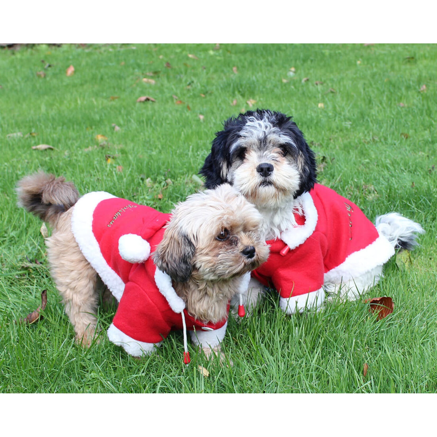 QHP Qhp  Kerst Jas hond 40cm