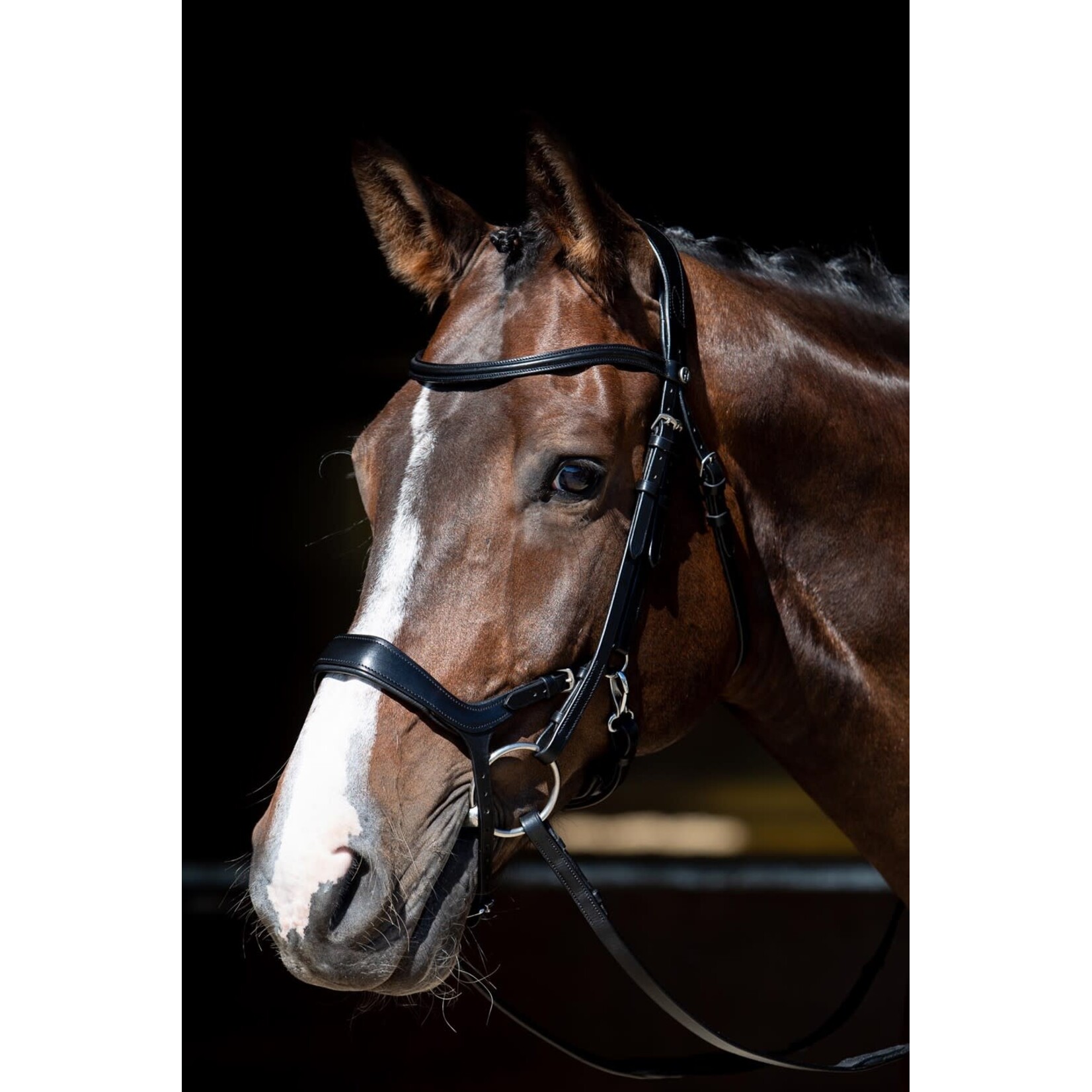 Harry's Horse Harry's Horse Hoofdstel Anatomic Release
