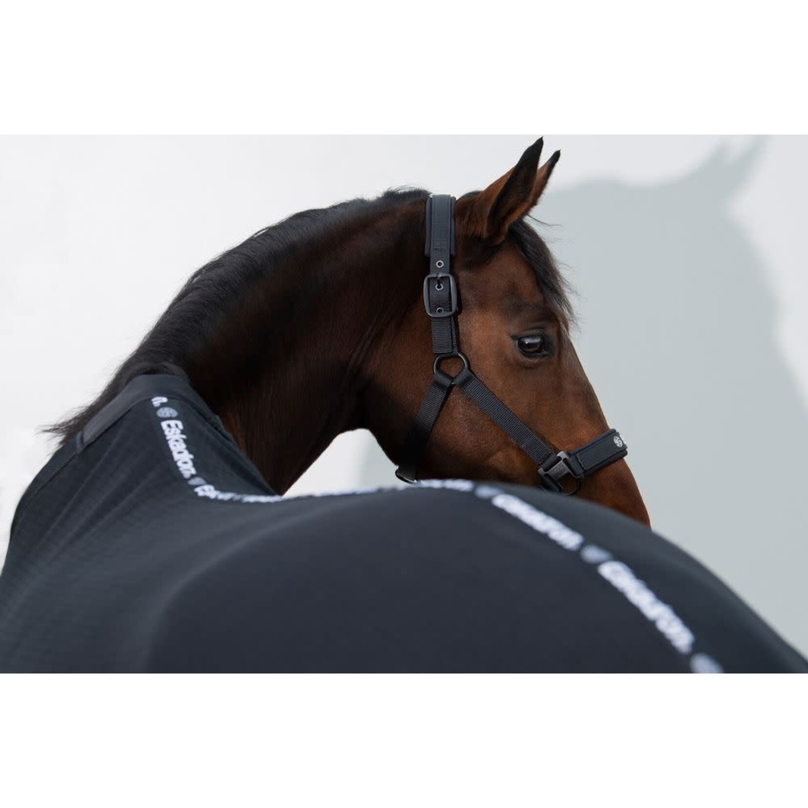 Eskadron Eskadon Halster Dynamic
