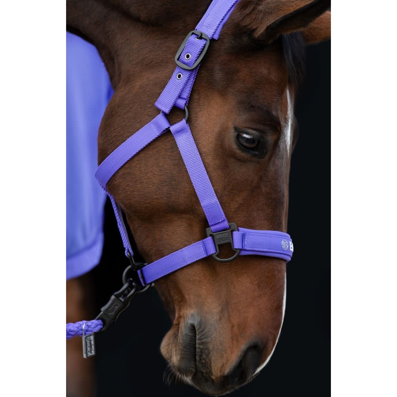 Eskadron Eskadon Halster Dynamic
