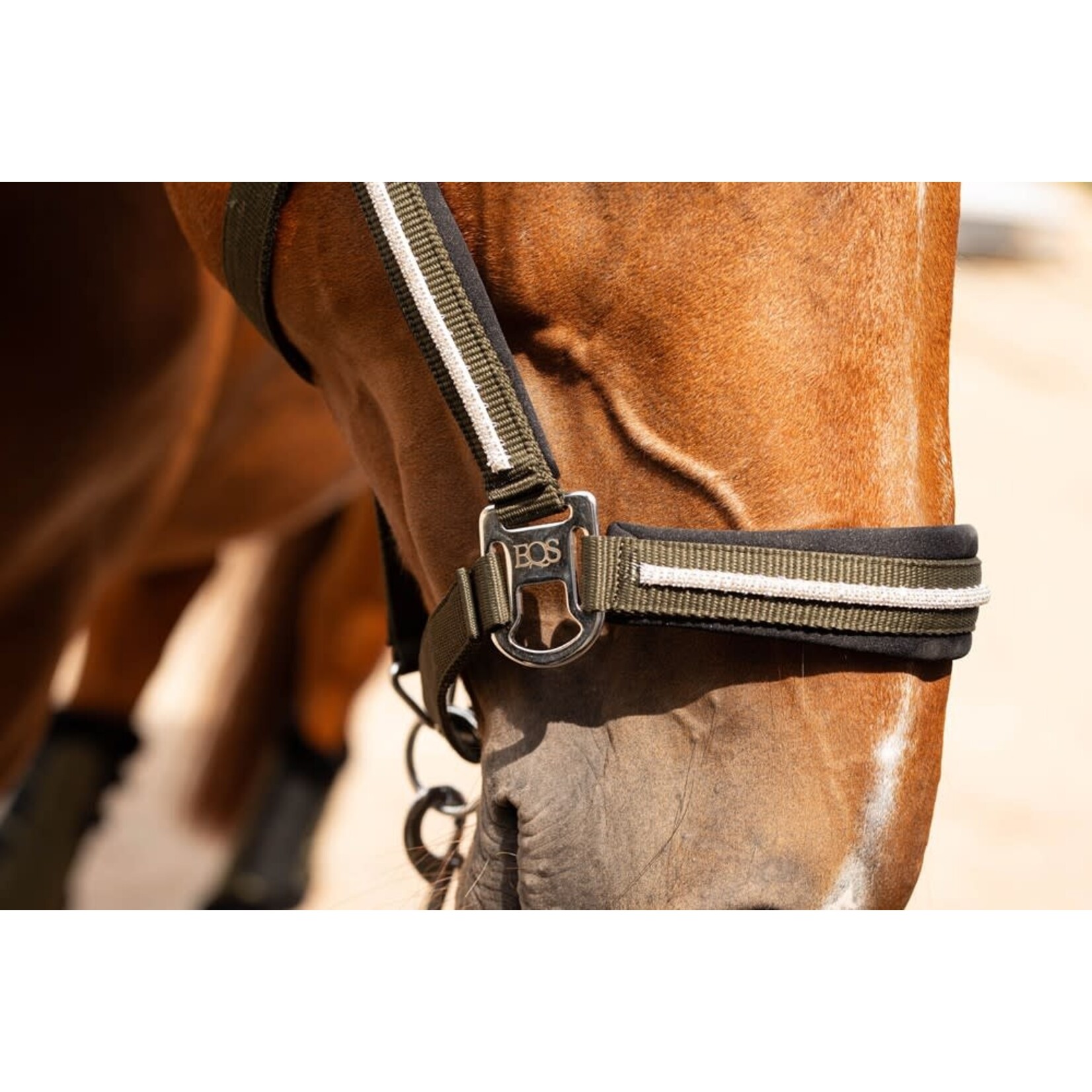 Harry's Horse Harry's Horse Halsterset Valli