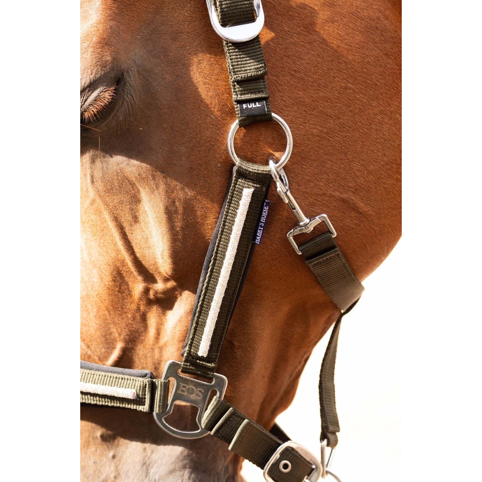 Harry's Horse Harry's Horse Halsterset Valli