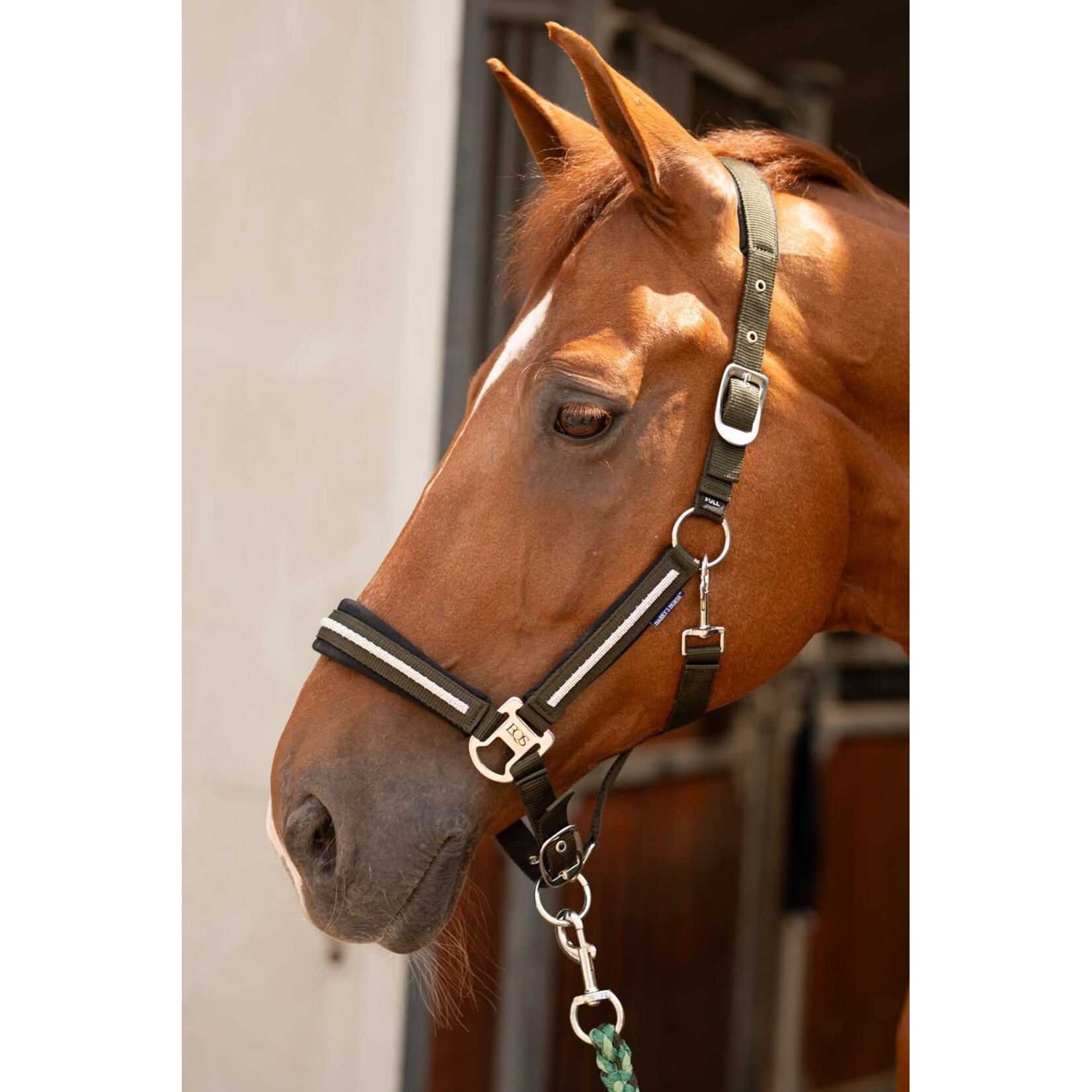 Harry's Horse Harry's Horse Halsterset Valli