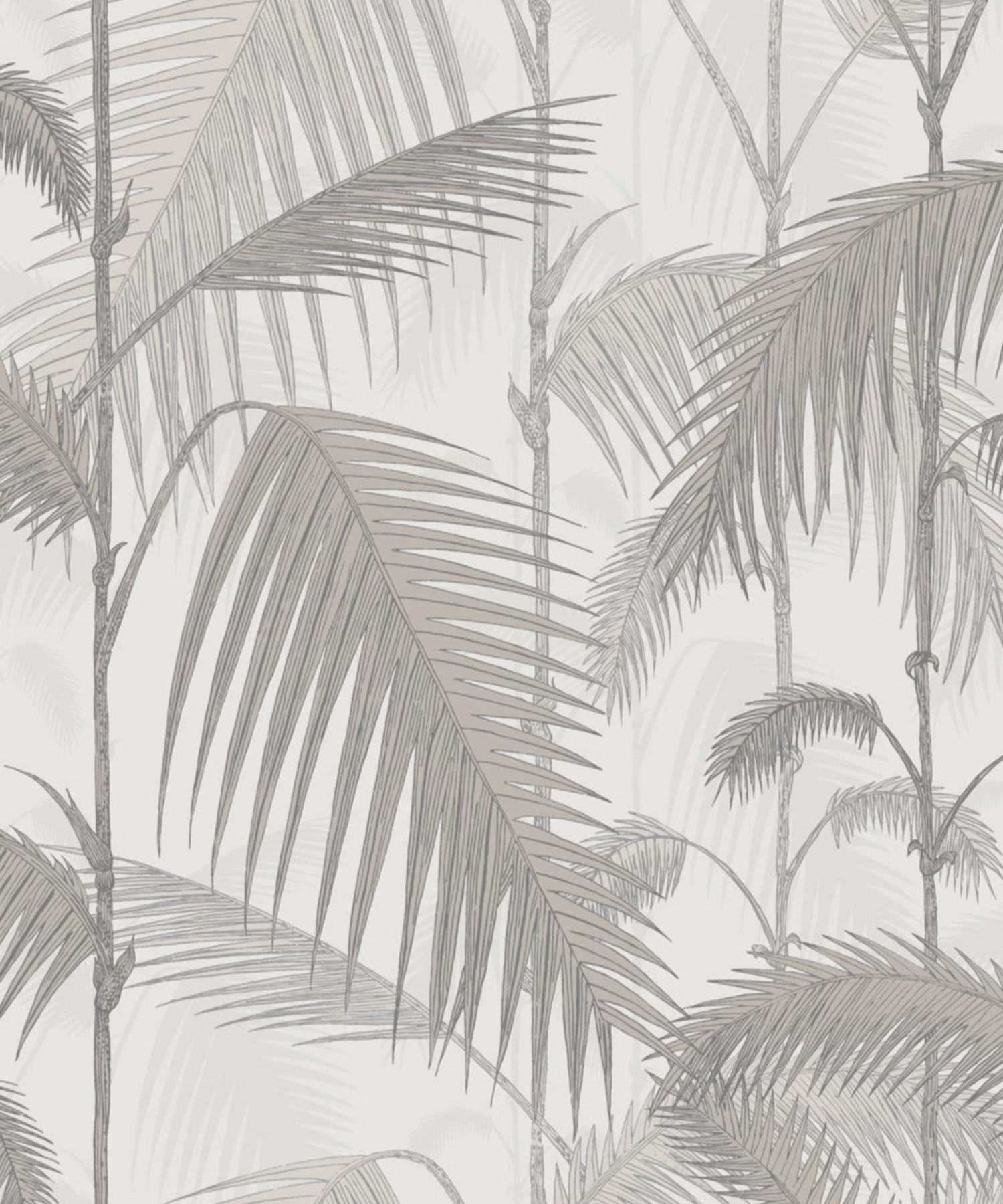 Cole & Son Palm Jungle 112/1004 -