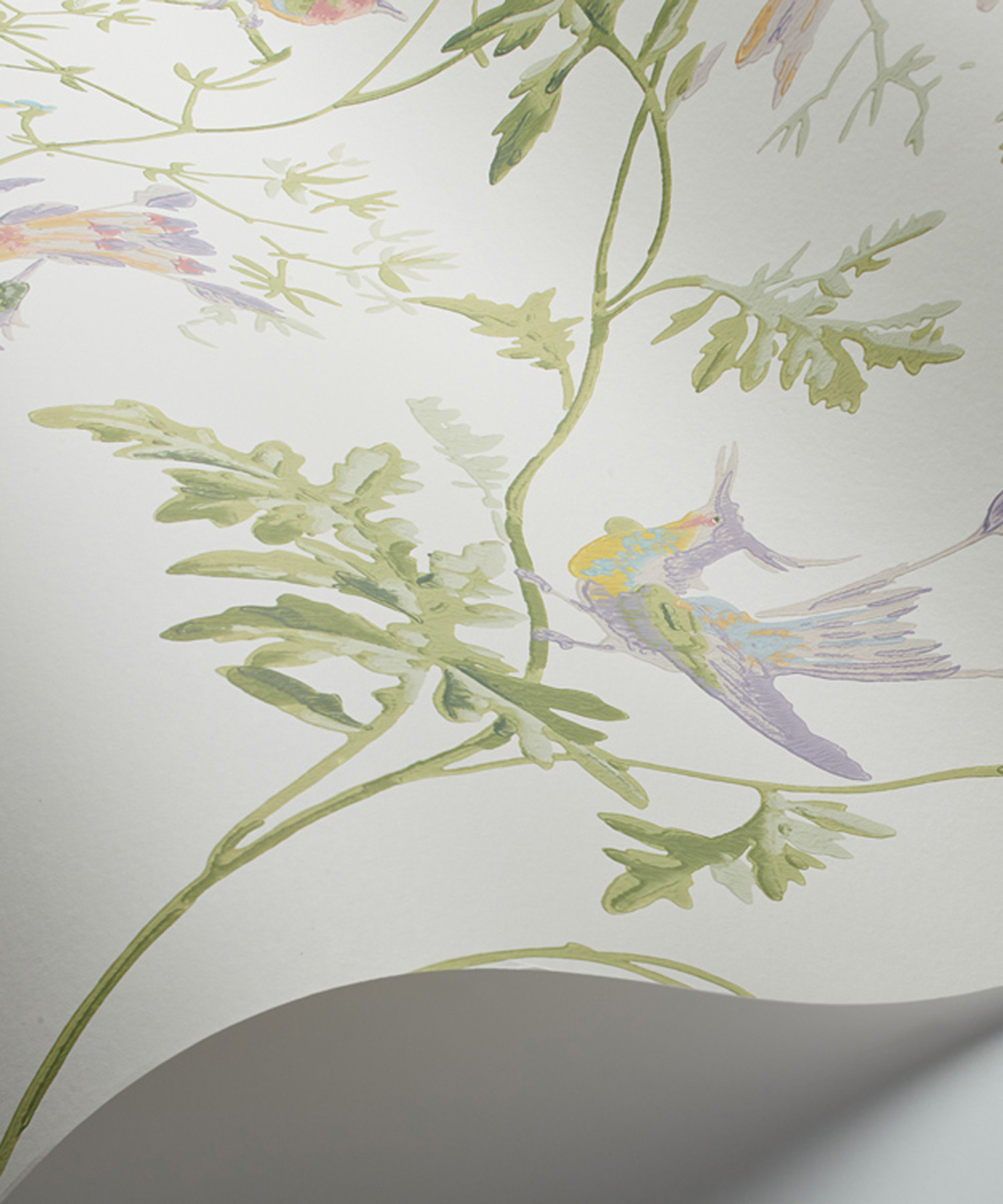 Cole & Son Behang Hummingbirds 100/14067 - Coloredwalls Cole & Son Behang Hummingbirds 100/14067 - Coloredwalls
