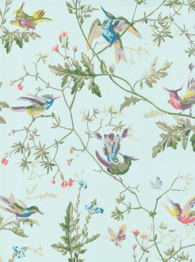 Vogel behang kopen? | Luxe behang | Coloredwalls Coloredwalls