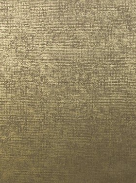Gebeurt Leeuw kopen Luxe behang kopen? | Groot assortiment | Coloredwalls - Coloredwalls
