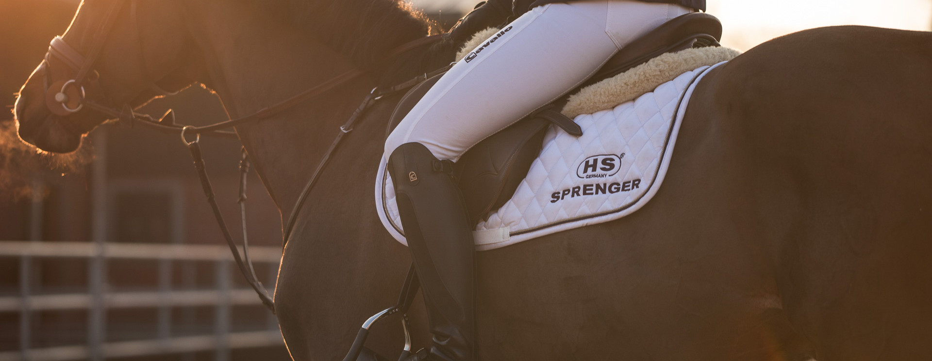 Breastplates & Martingales