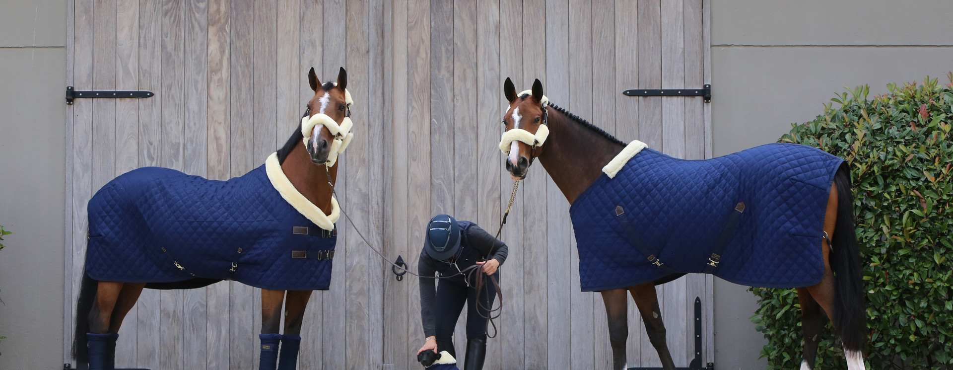 Horsewear