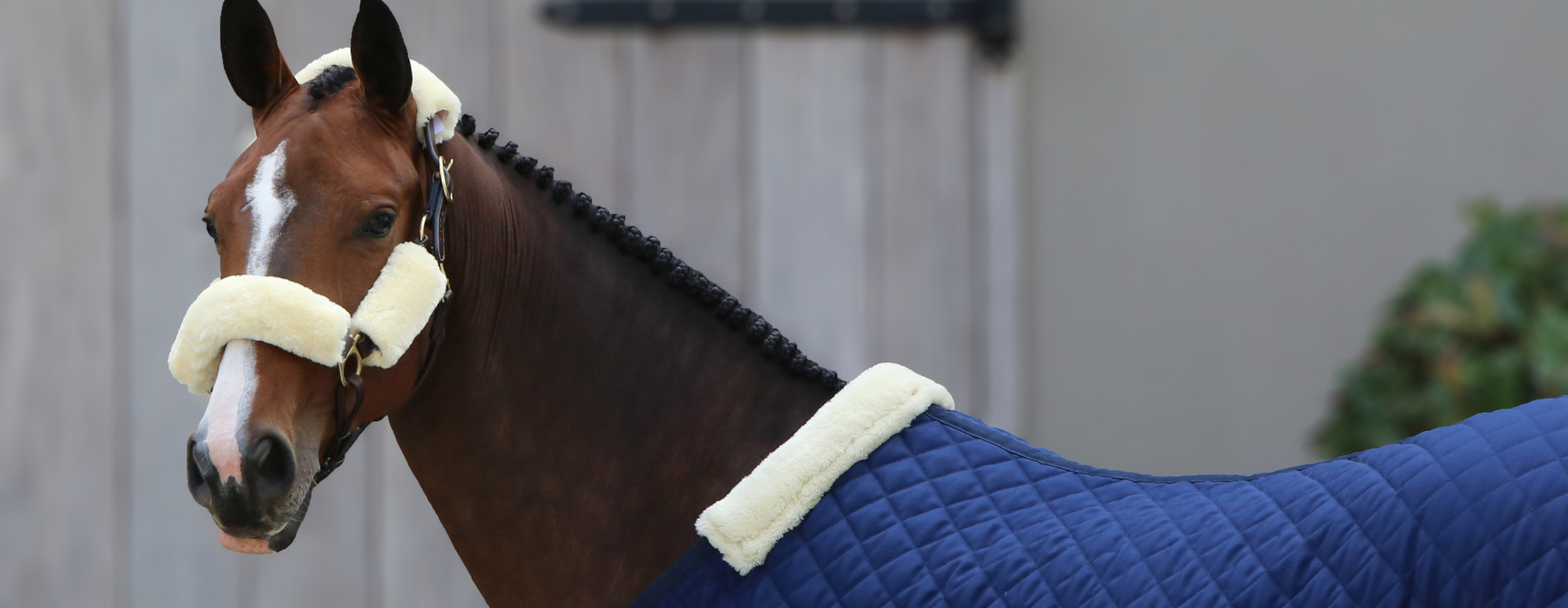 Headcollars & Leadropes