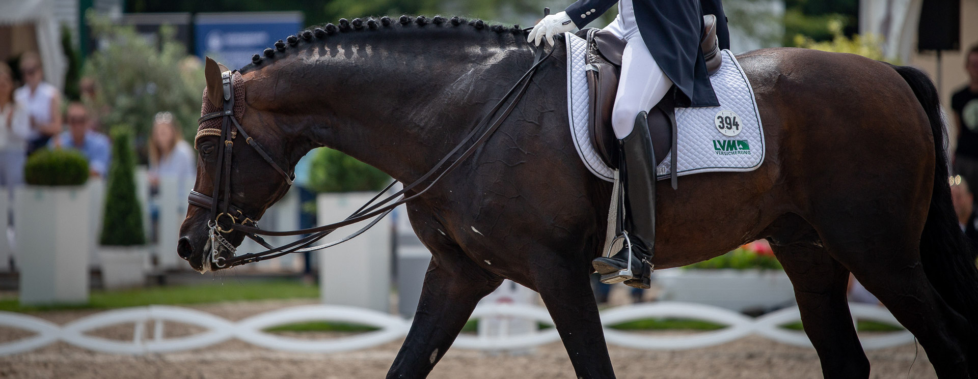 Reins