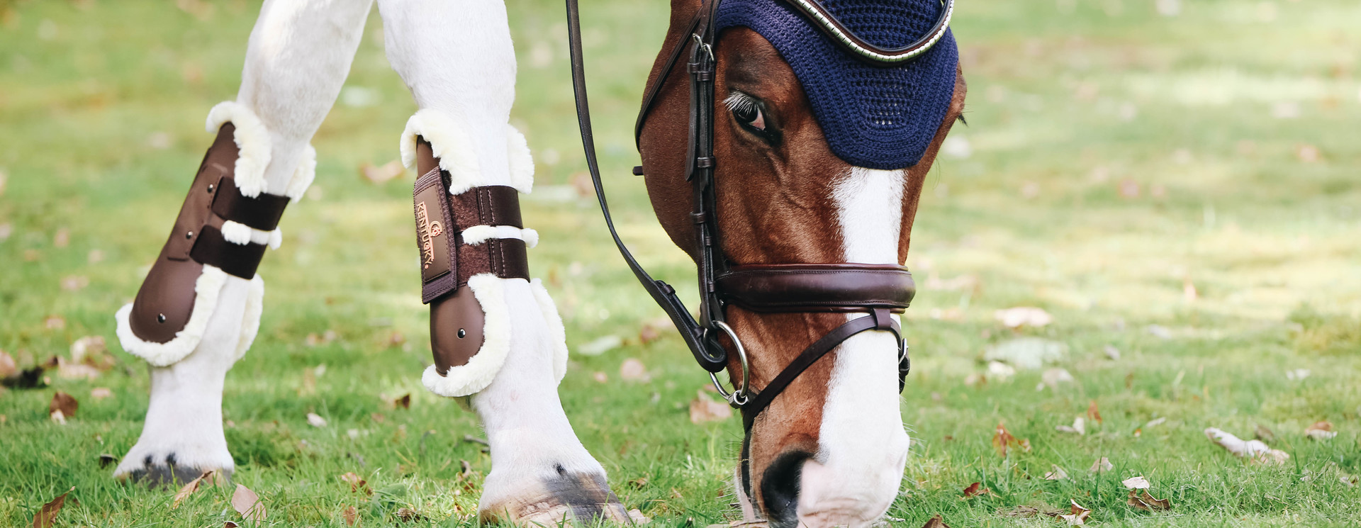 Tendon & Fetlock Boots